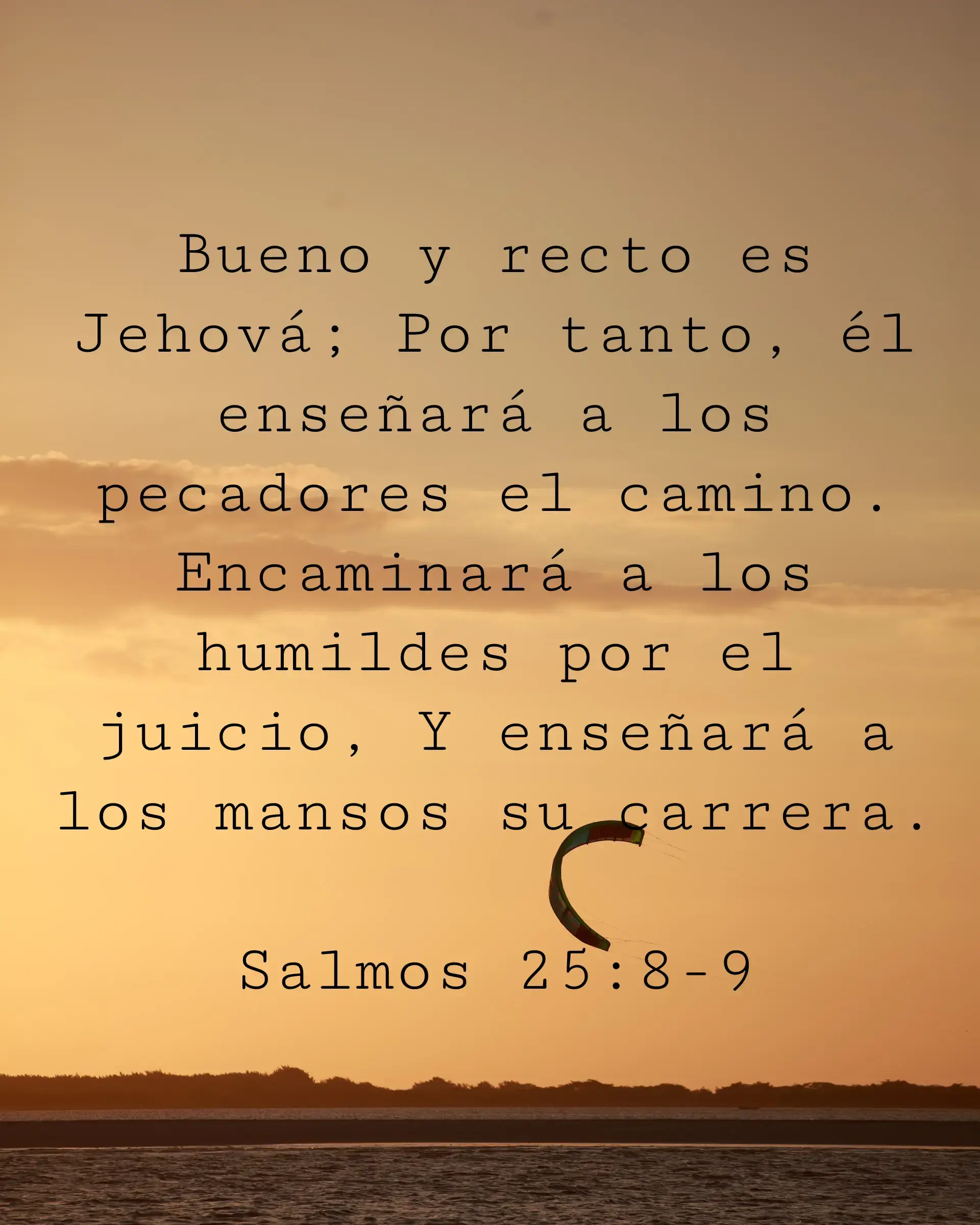Bueno y recto es Jehová; Por tanto, él enseñará a los pecadores el camino. Encaminará a los humildes por el juicio, Y enseñará a los mansos su carrera.