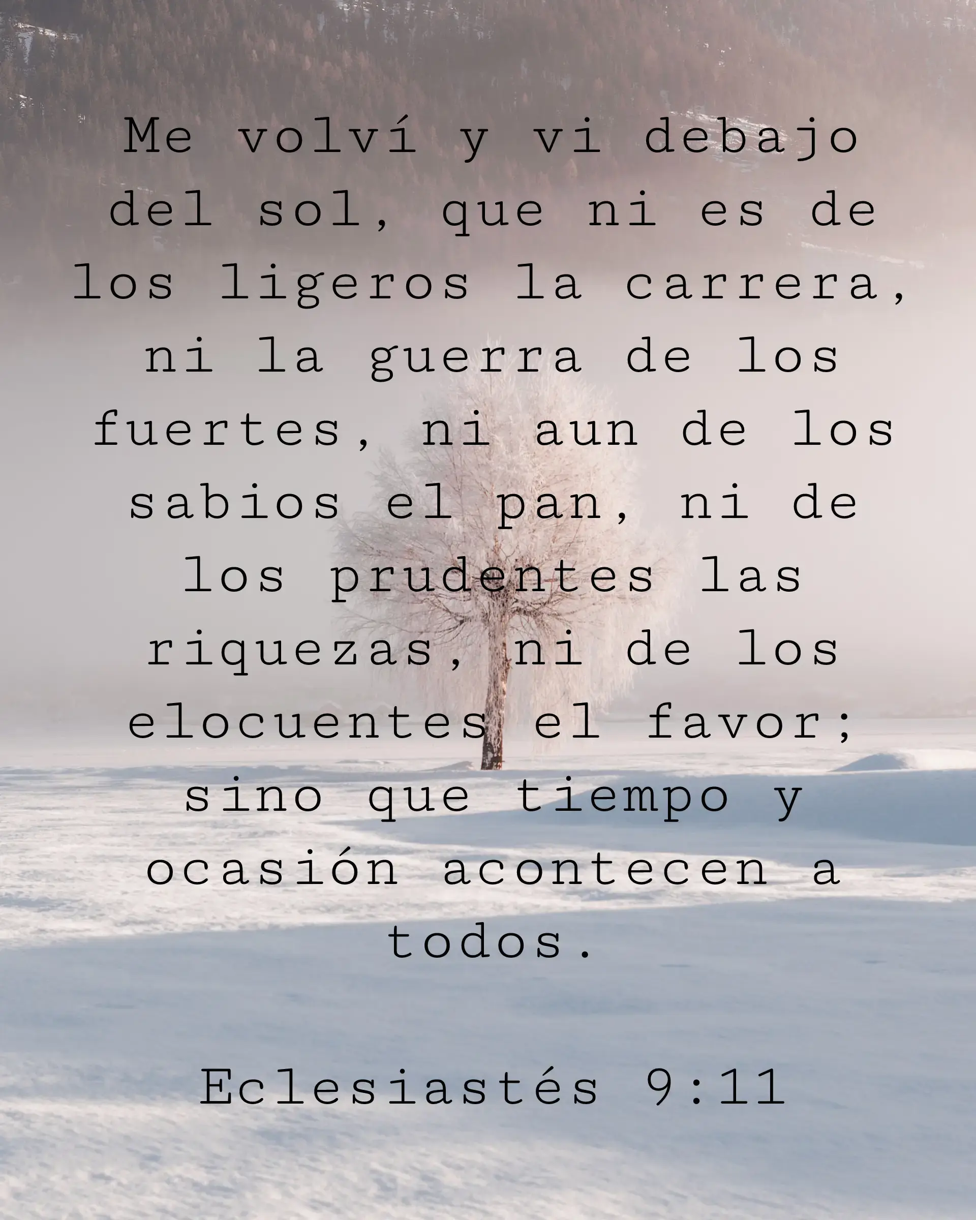 Me volví y vi debajo del sol, que ni es de los ligeros la carrera, ni la guerra de los fuertes, ni aun de los sabios el pan, ni de los prudentes las riquezas, ni de los elocuentes el favor; sino que tiempo y ocasión acontecen a todos.