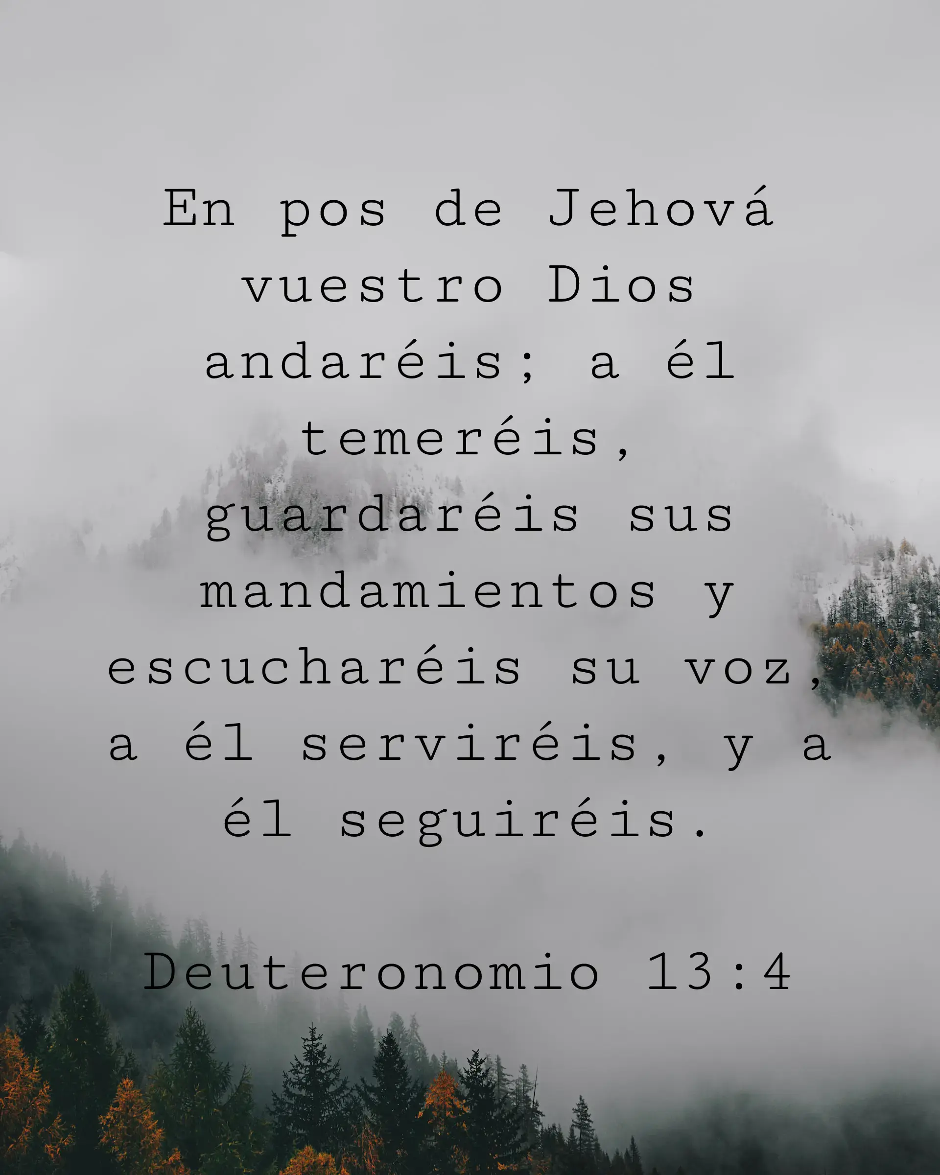 En pos de Jehová vuestro Dios andaréis; a él temeréis, guardaréis sus mandamientos y escucharéis su voz, a él serviréis, y a él seguiréis.