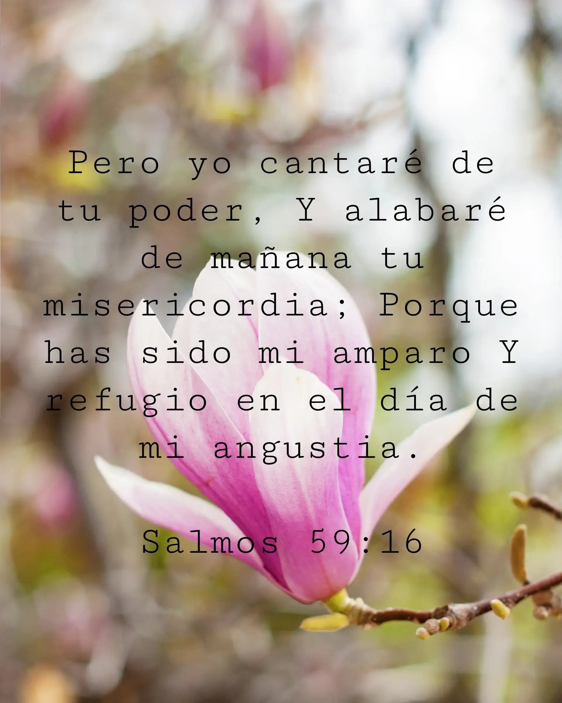 Pero yo cantaré de tu poder, Y alabaré de mañana tu misericordia; Porque has sido mi amparo Y refugio en el día de mi angustia.