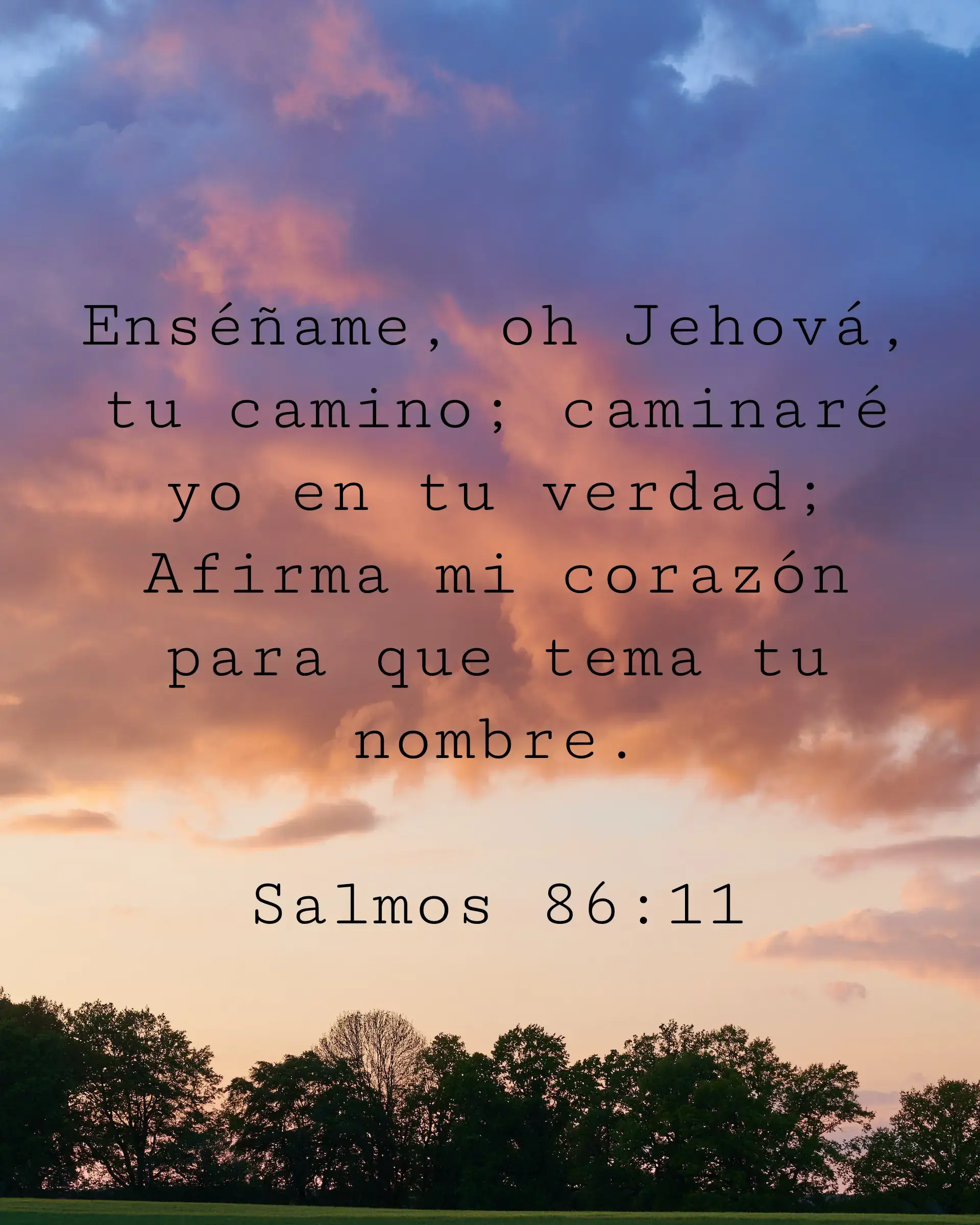 Enséñame, oh Jehová, tu camino; caminaré yo en tu verdad; Afirma mi corazón para que tema tu nombre.