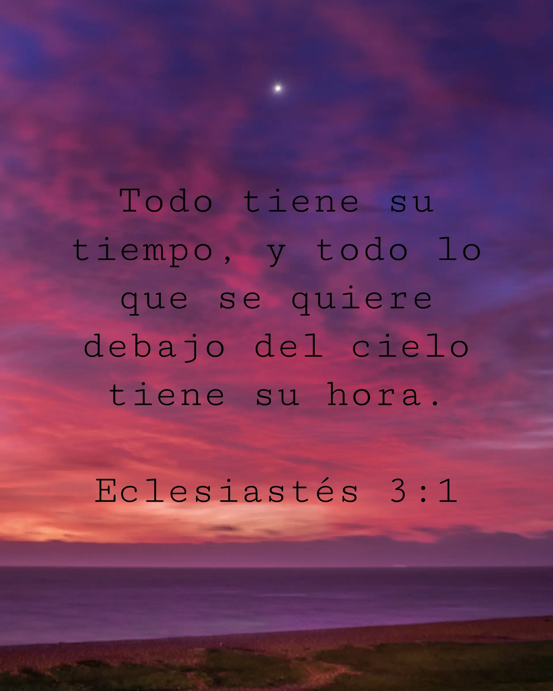 Todo tiene su tiempo, y todo lo que se quiere debajo del cielo tiene su hora.