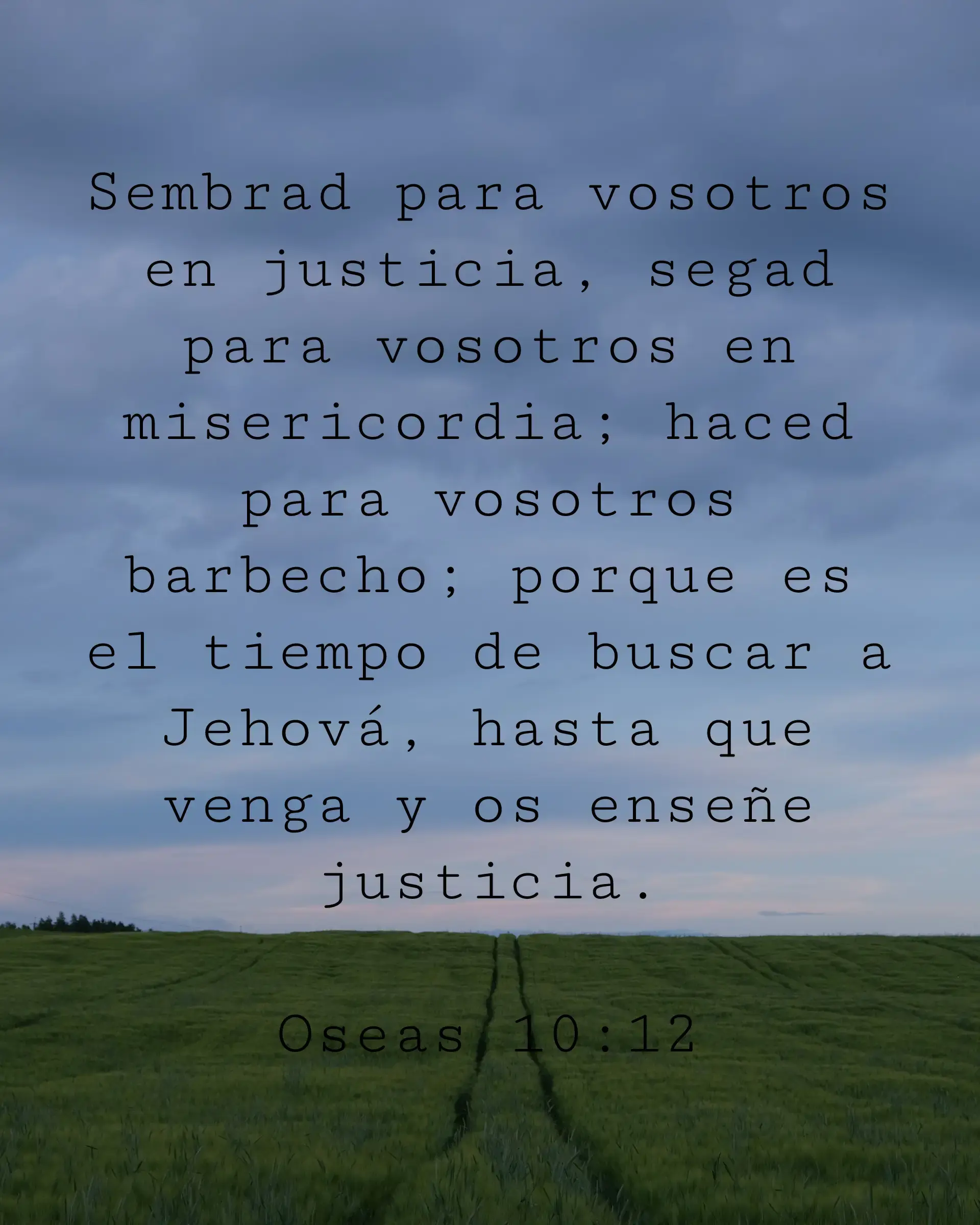 Sembrad para vosotros en justicia, segad para vosotros en misericordia; haced para vosotros barbecho; porque es el tiempo de buscar a Jehová, hasta que venga y os enseñe justicia.