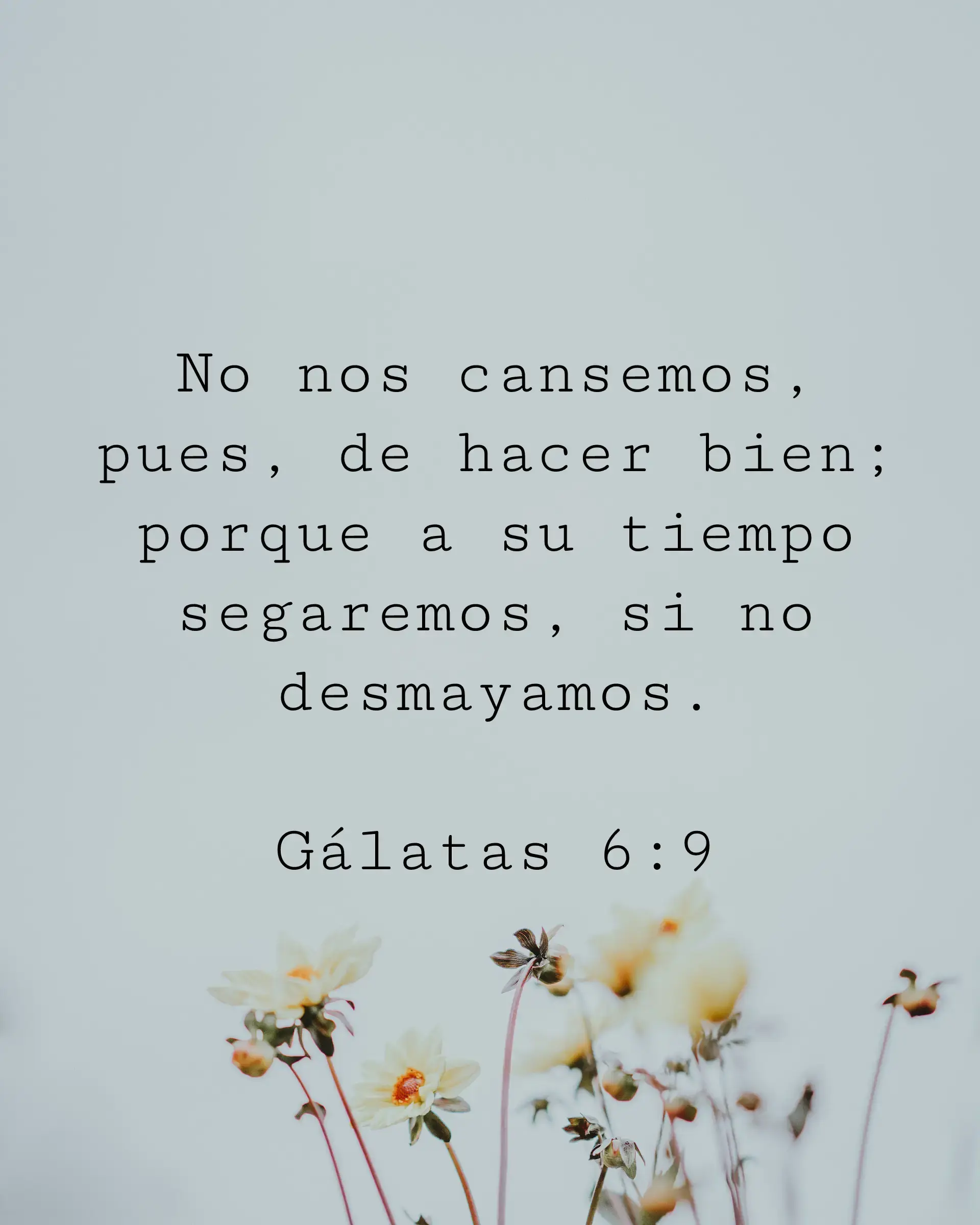 No nos cansemos, pues, de hacer bien; porque a su tiempo segaremos, si no desmayamos.