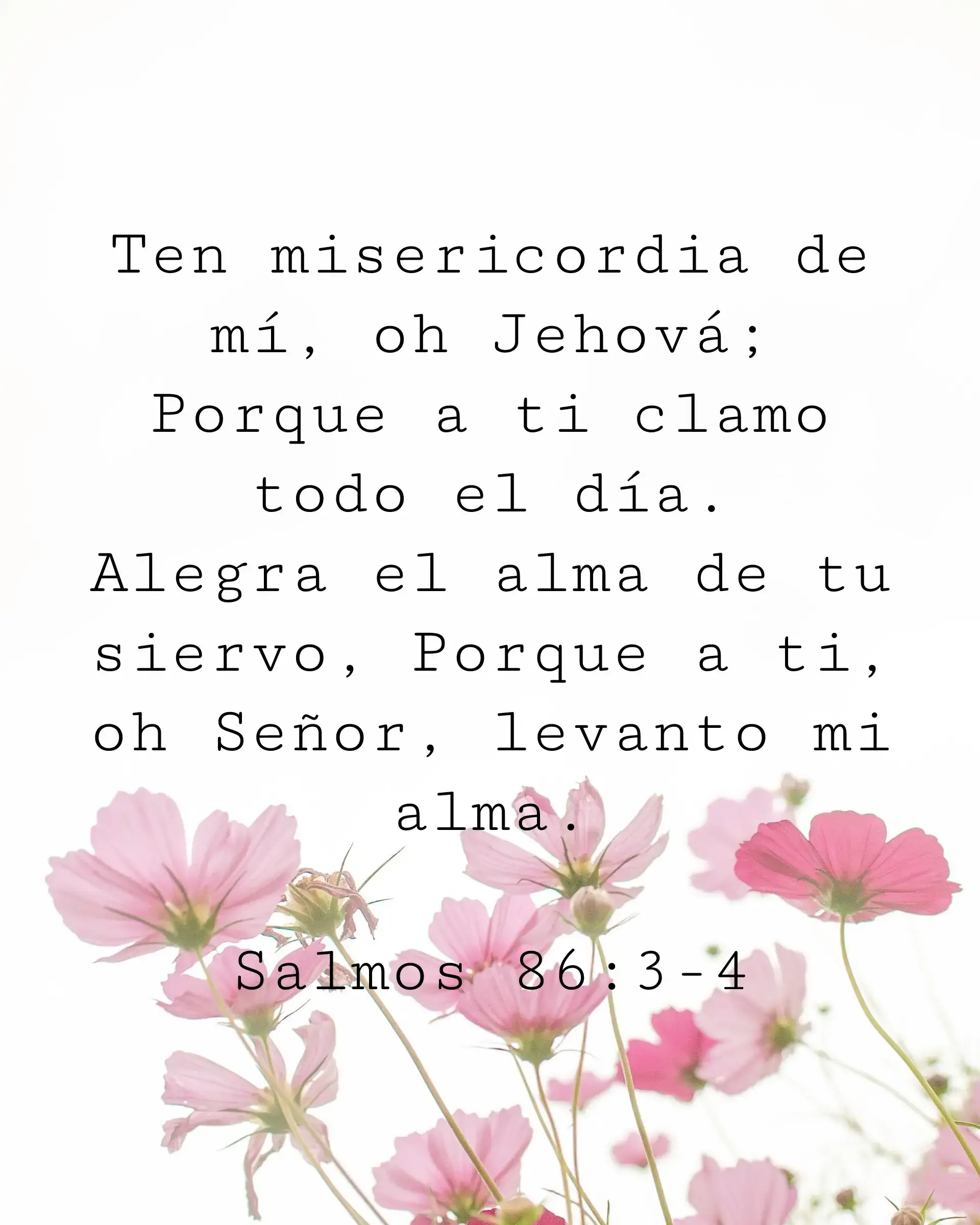 Ten misericordia de mí, oh Jehová; Porque a ti clamo todo el día. Alegra el alma de tu siervo, Porque a ti, oh Señor, levanto mi alma.