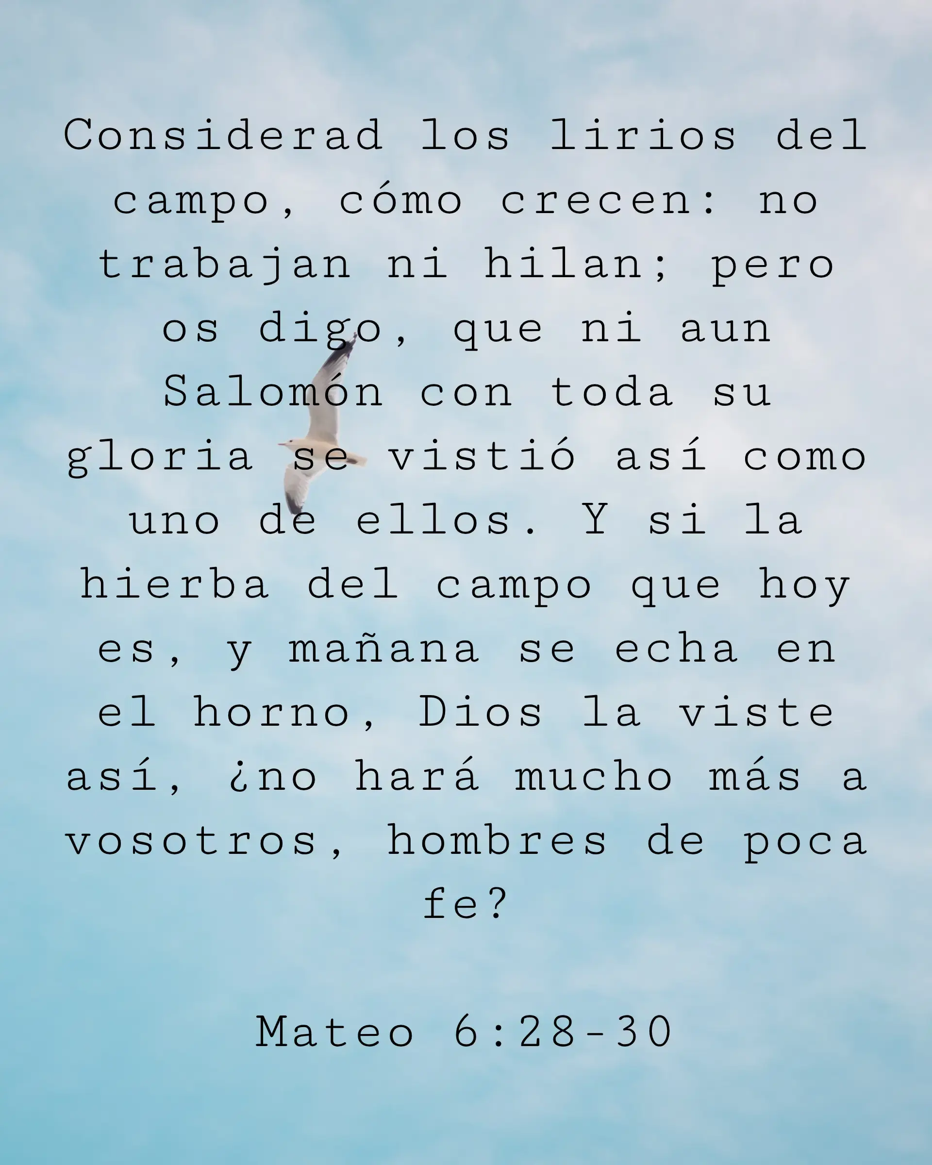 Considerad los lirios del campo, cómo crecen: no trabajan ni hilan; pero os digo, que ni aun Salomón con toda su gloria se vistió así como uno de ellos. Y si la hierba del campo que hoy es, y mañana se echa en el horno, Dios la viste así, ¿no hará mucho más a vosotros, hombres de poca fe?