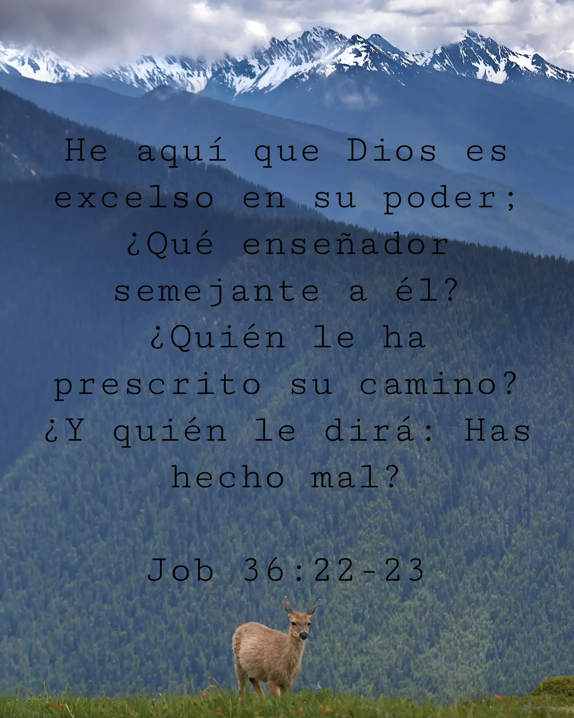 He aquí que Dios es excelso en su poder; ¿Qué enseñador semejante a él? ¿Quién le ha prescrito su camino? ¿Y quién le dirá: Has hecho mal?