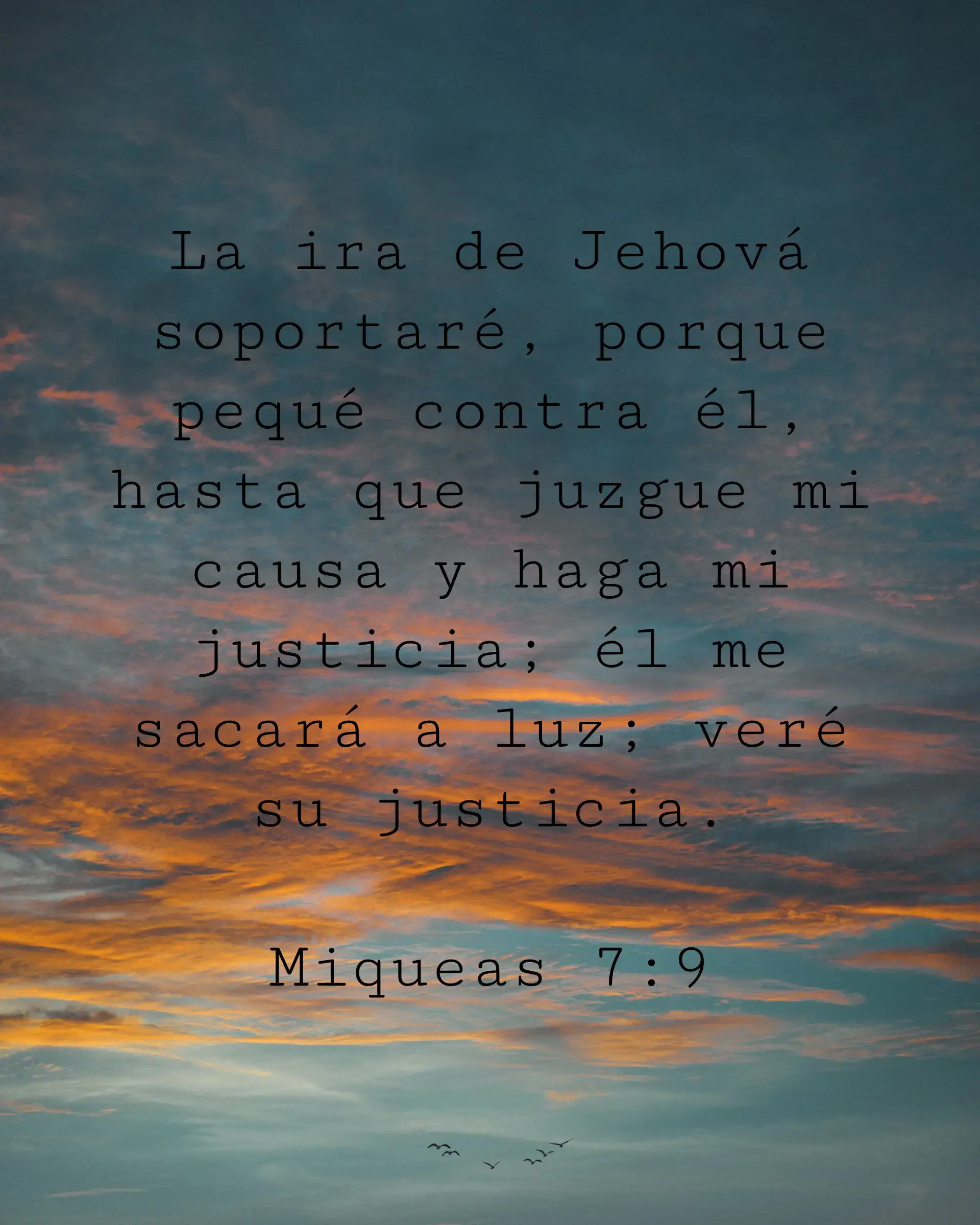 La ira de Jehová soportaré, porque pequé contra él, hasta que juzgue mi causa y haga mi justicia; él me sacará a luz; veré su justicia.