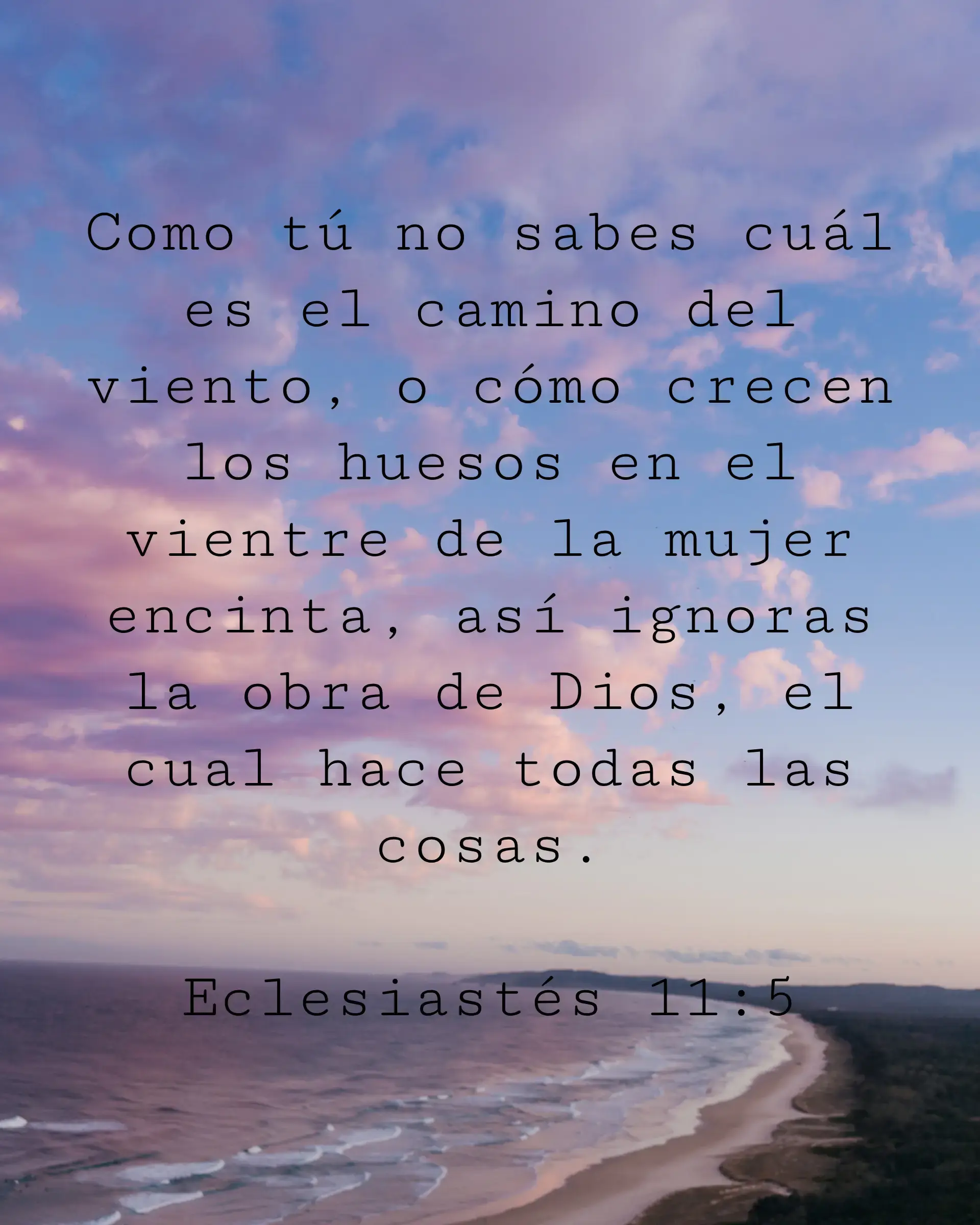 Como tú no sabes cuál es el camino del viento, o cómo crecen los huesos en el vientre de la mujer encinta, así ignoras la obra de Dios, el cual hace todas las cosas.