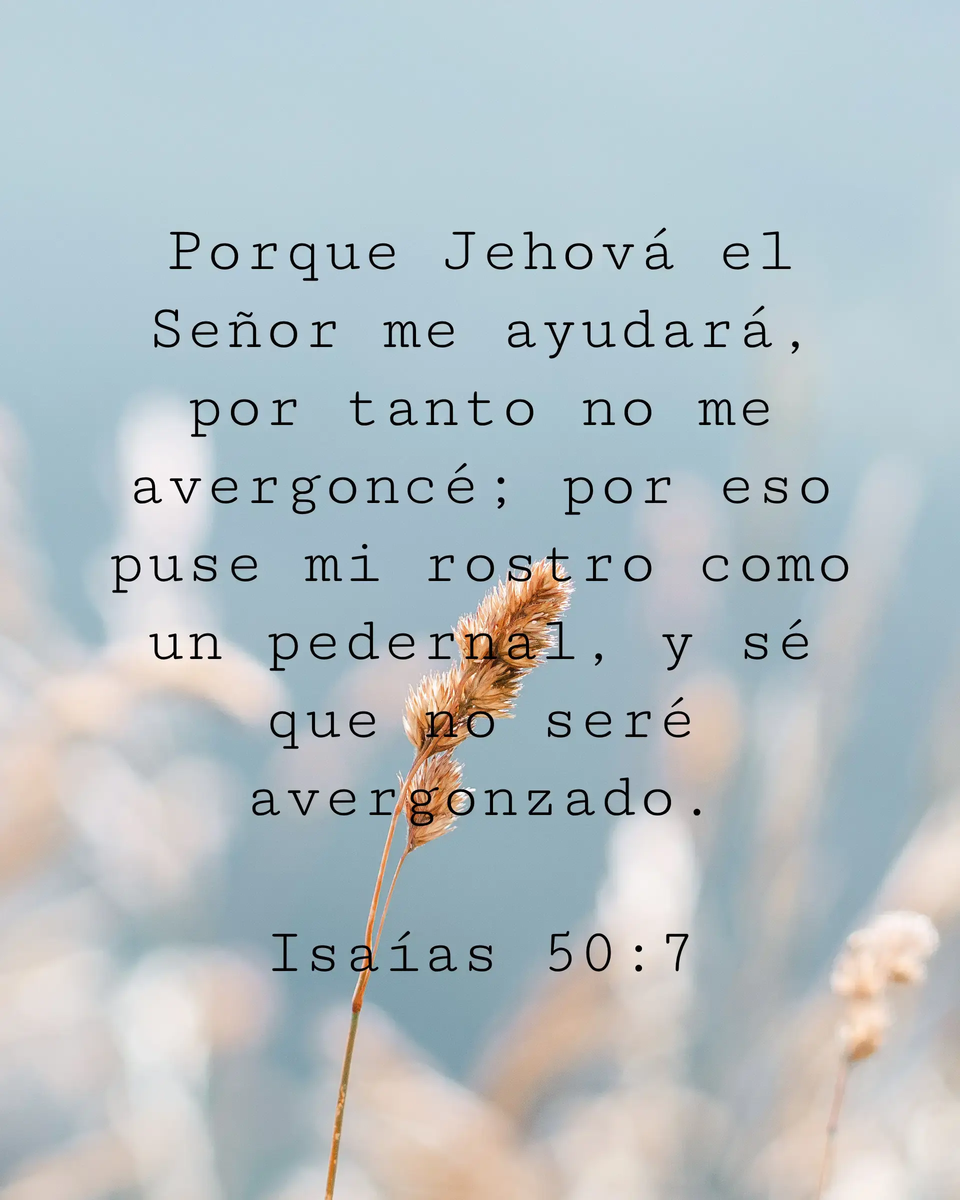 Porque Jehová el Señor me ayudará, por tanto no me avergoncé; por eso puse mi rostro como un pedernal, y sé que no seré avergonzado.