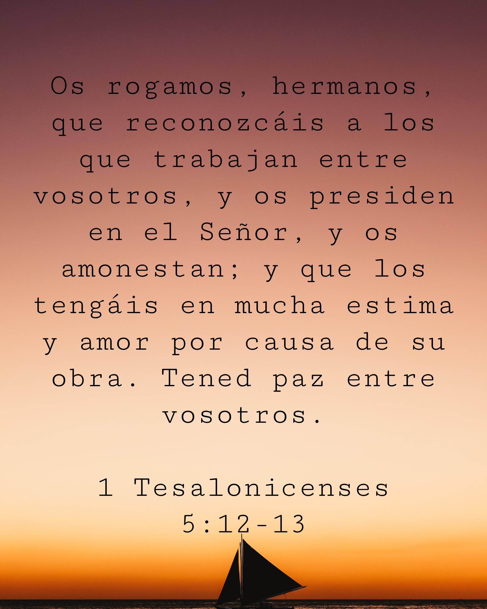 Os rogamos, hermanos, que reconozcáis a los que trabajan entre vosotros, y os presiden en el Señor, y os amonestan; y que los tengáis en mucha estima y amor por causa de su obra. Tened paz entre vosotros.