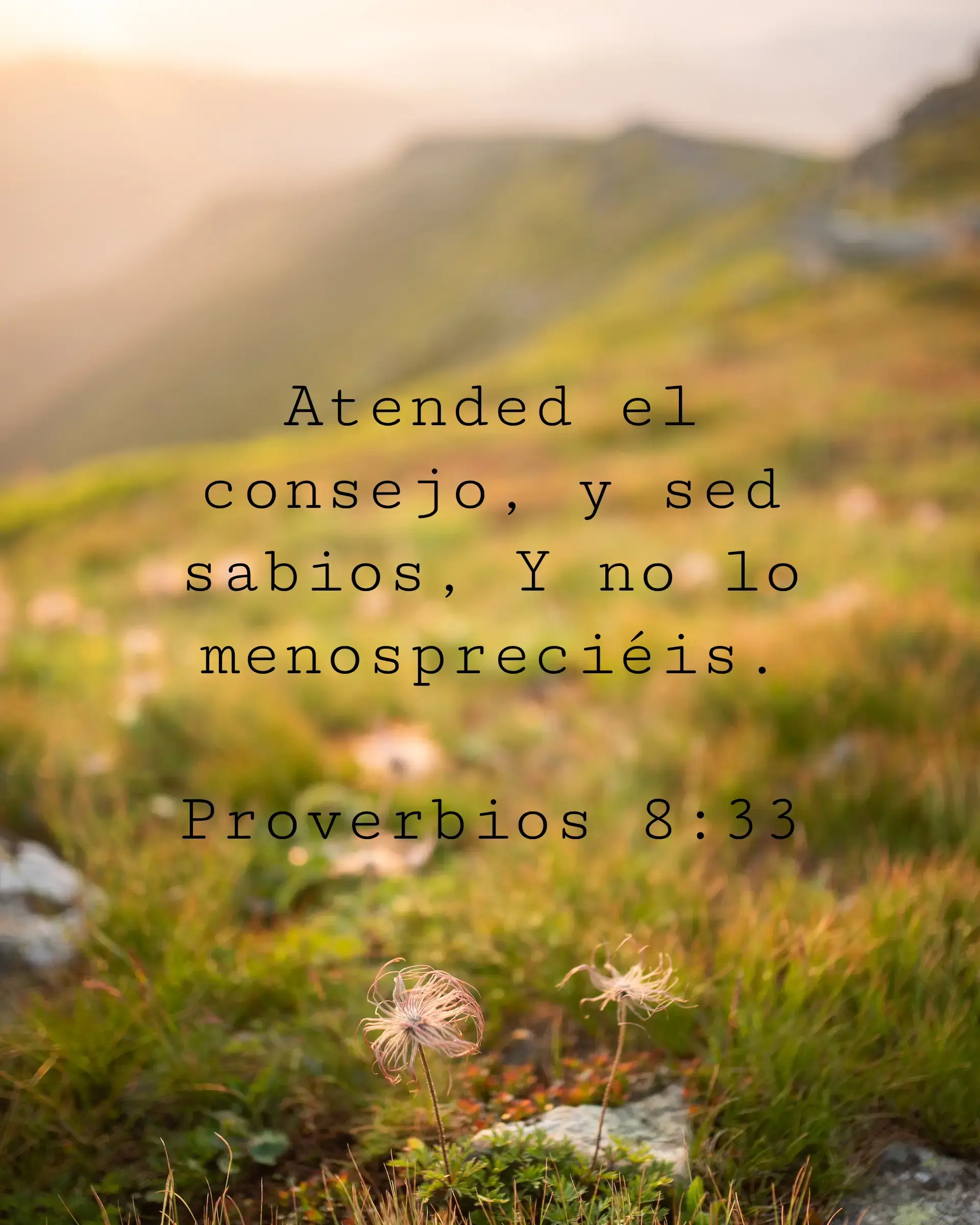Atended el consejo, y sed sabios, Y no lo menospreciéis.