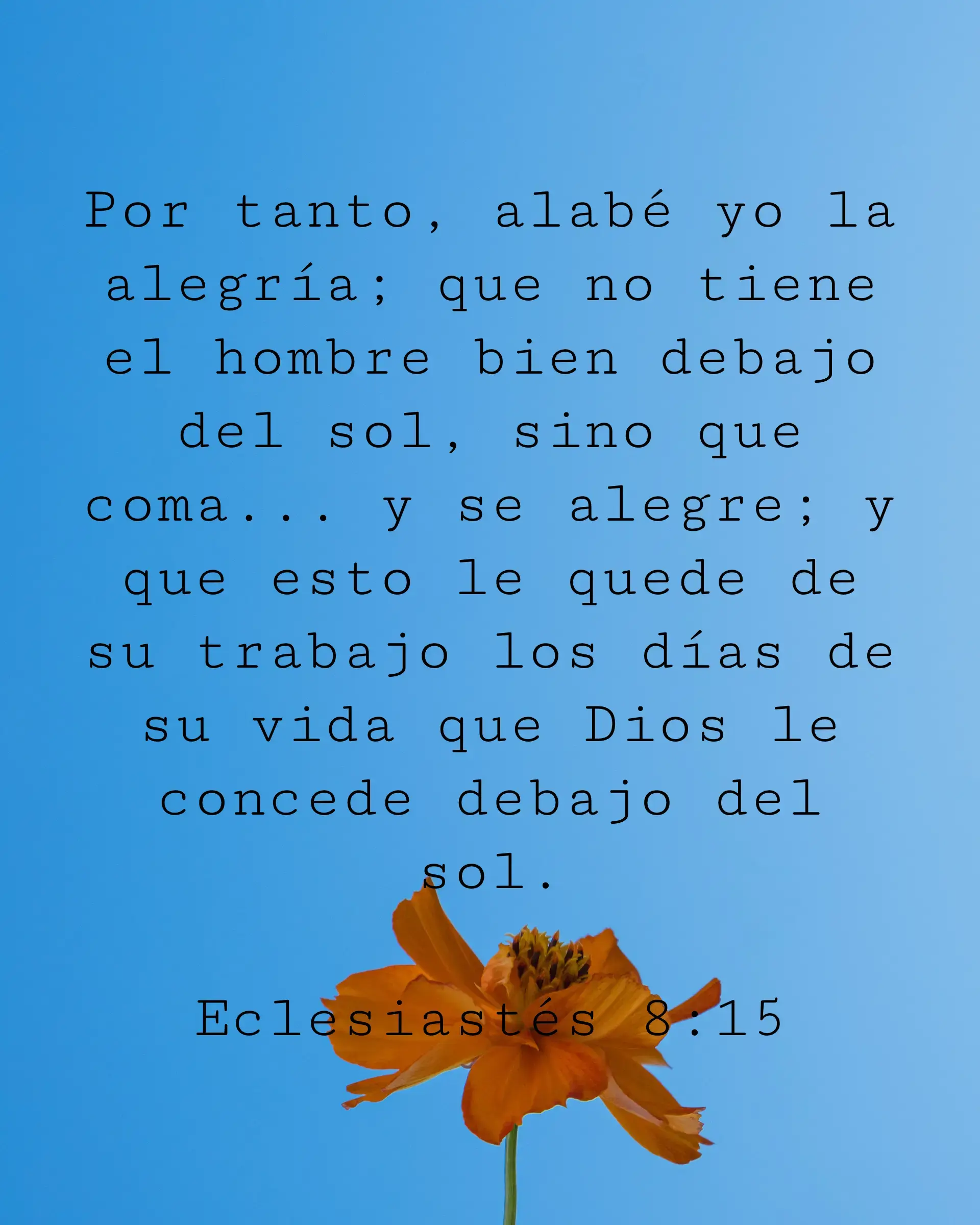Por tanto, alabé yo la alegría; que no tiene el hombre bien debajo del sol, sino que coma y beba y se alegre; y que esto le quede de su trabajo los días de su vida que Dios le concede debajo del sol.