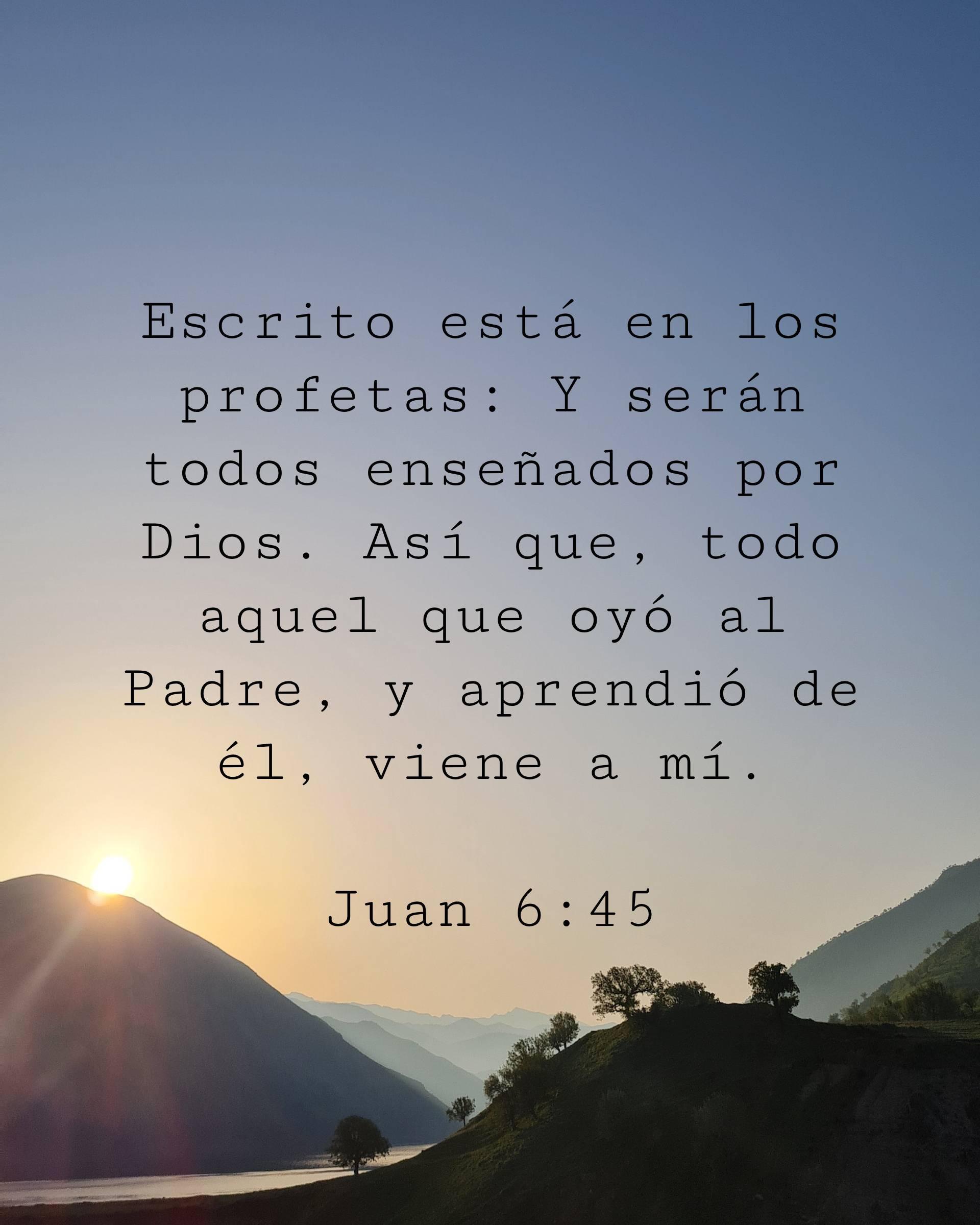 Escrito está en los profetas: Y serán todos enseñados por Dios. Así que, todo aquel que oyó al Padre, y aprendió de él, viene a mí.