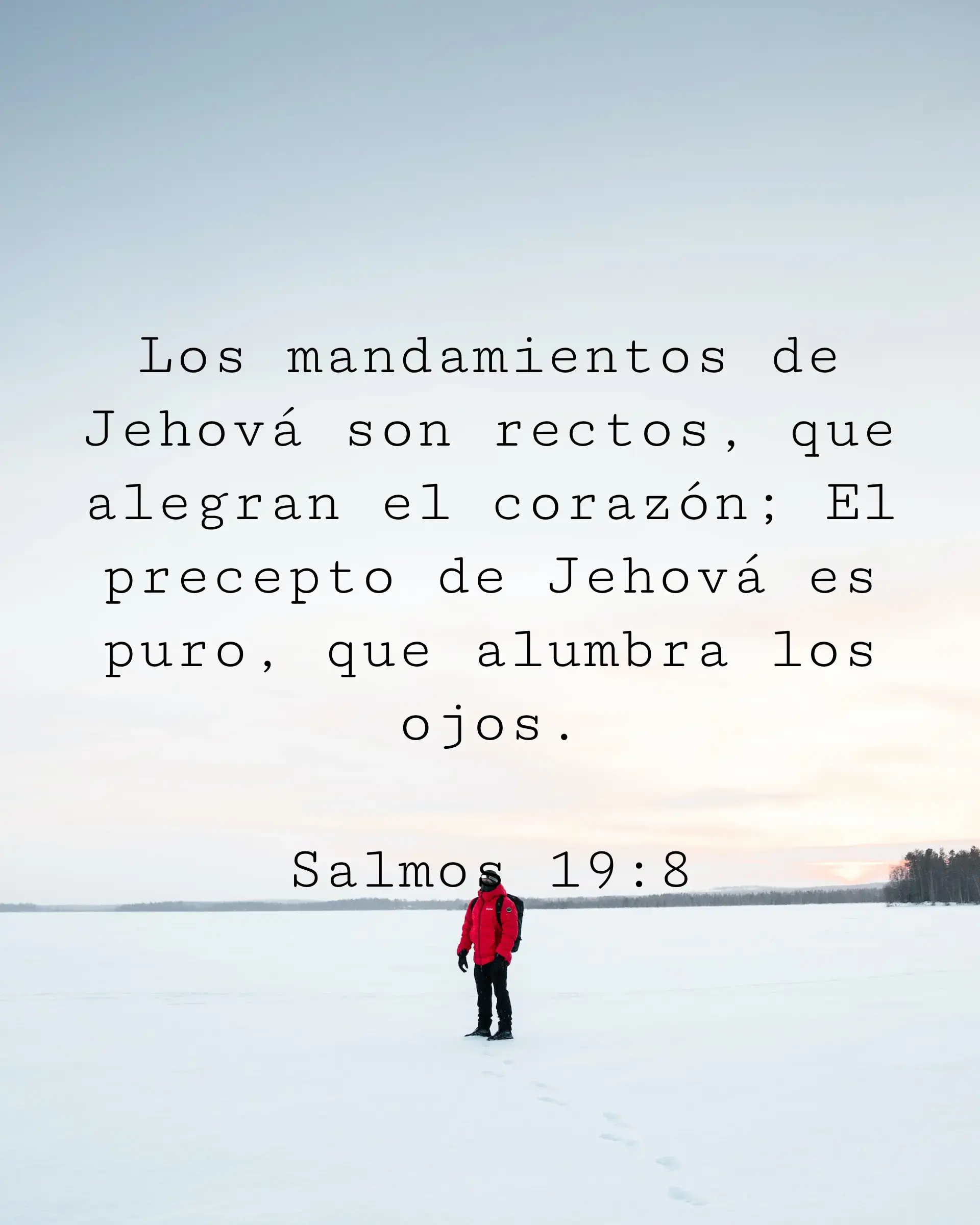 Los mandamientos de Jehová son rectos, que alegran el corazón; El precepto de Jehová es puro, que alumbra los ojos.