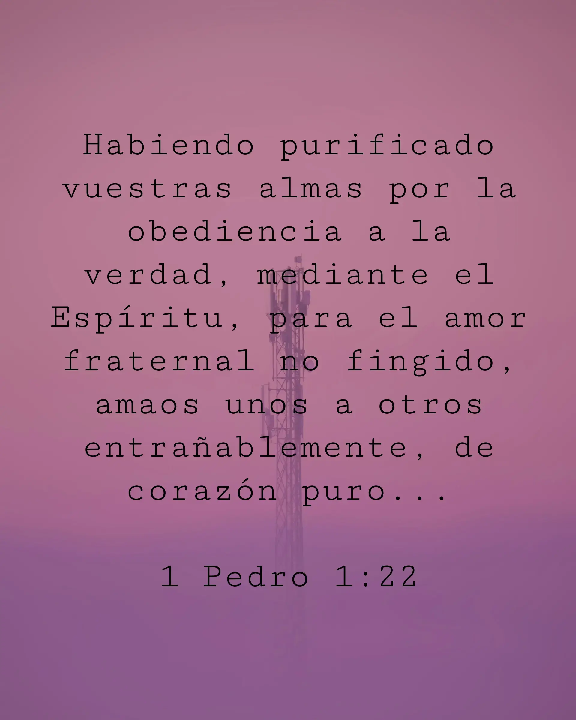Habiendo purificado vuestras almas por la obediencia a la verdad, mediante el Espíritu, para el amor fraternal no fingido, amaos unos a otros entrañablemente, de corazón puro;