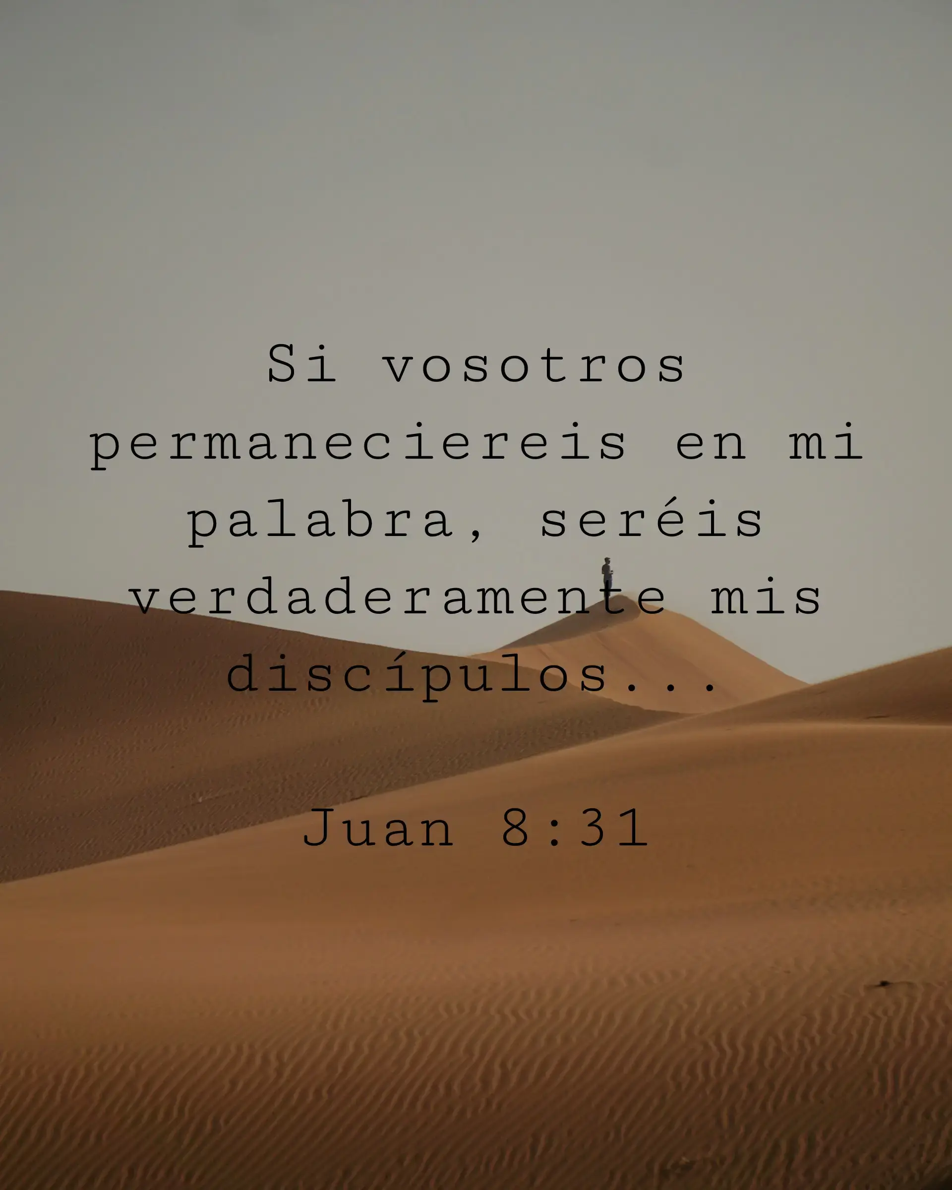 Si vosotros permaneciereis en mi palabra, seréis verdaderamente mis discípulos...