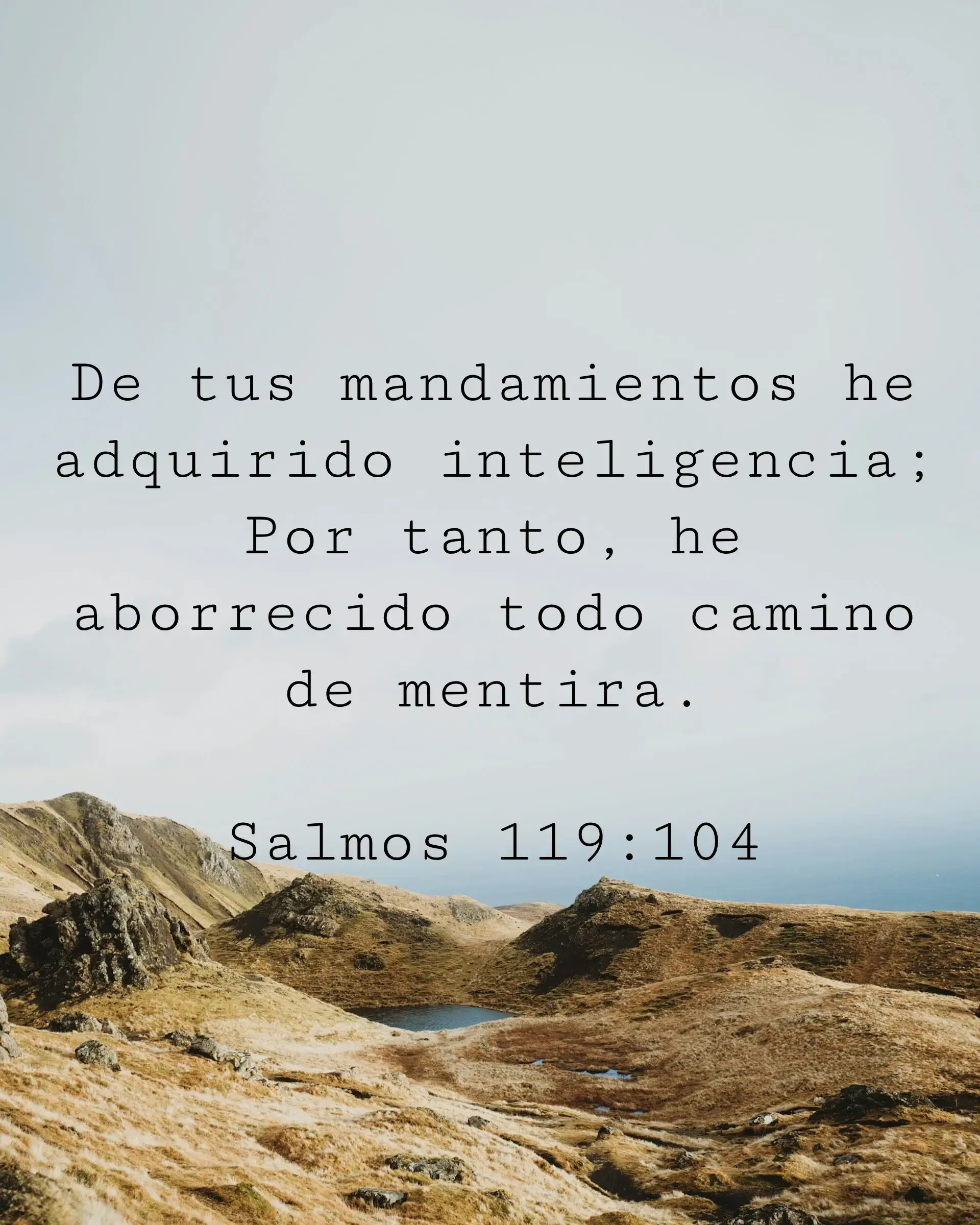 De tus mandamientos he adquirido inteligencia; Por tanto, he aborrecido todo camino de mentira.