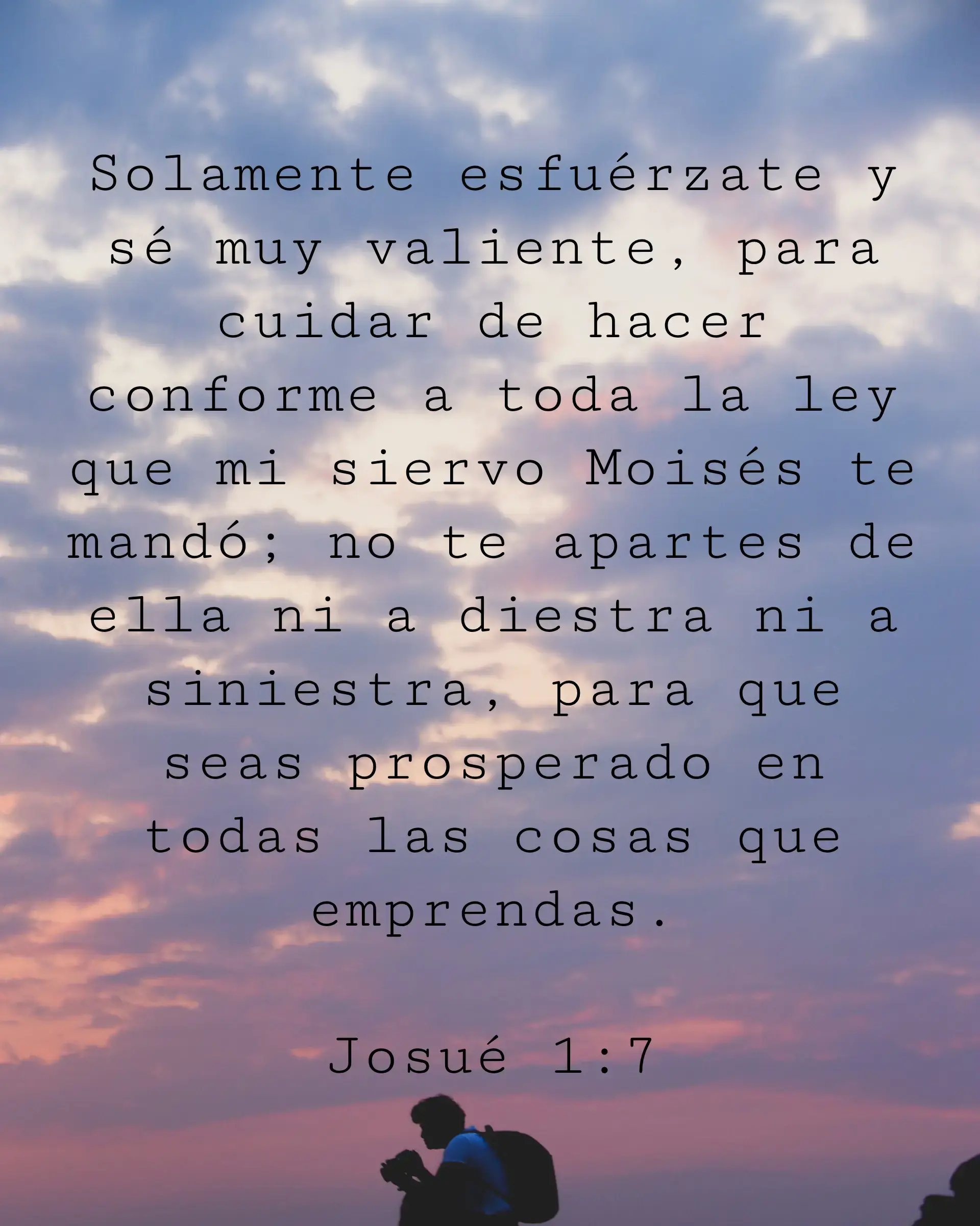 Solamente esfuérzate y sé muy valiente, para cuidar de hacer conforme a toda la ley que mi siervo Moisés te mandó; no te apartes de ella ni a diestra ni a siniestra, para que seas prosperado en todas las cosas que emprendas.