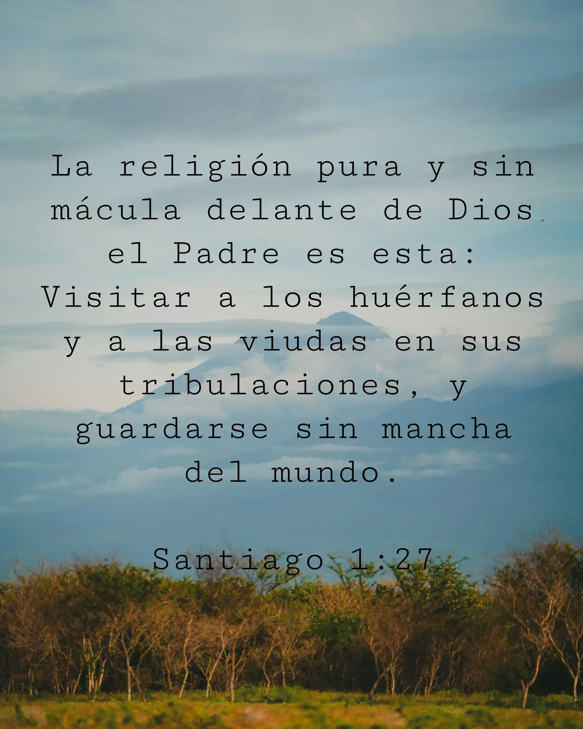 La religión pura y sin mácula delante de Dios el Padre es esta: Visitar a los huérfanos y a las viudas en sus tribulaciones, y guardarse sin mancha del mundo.