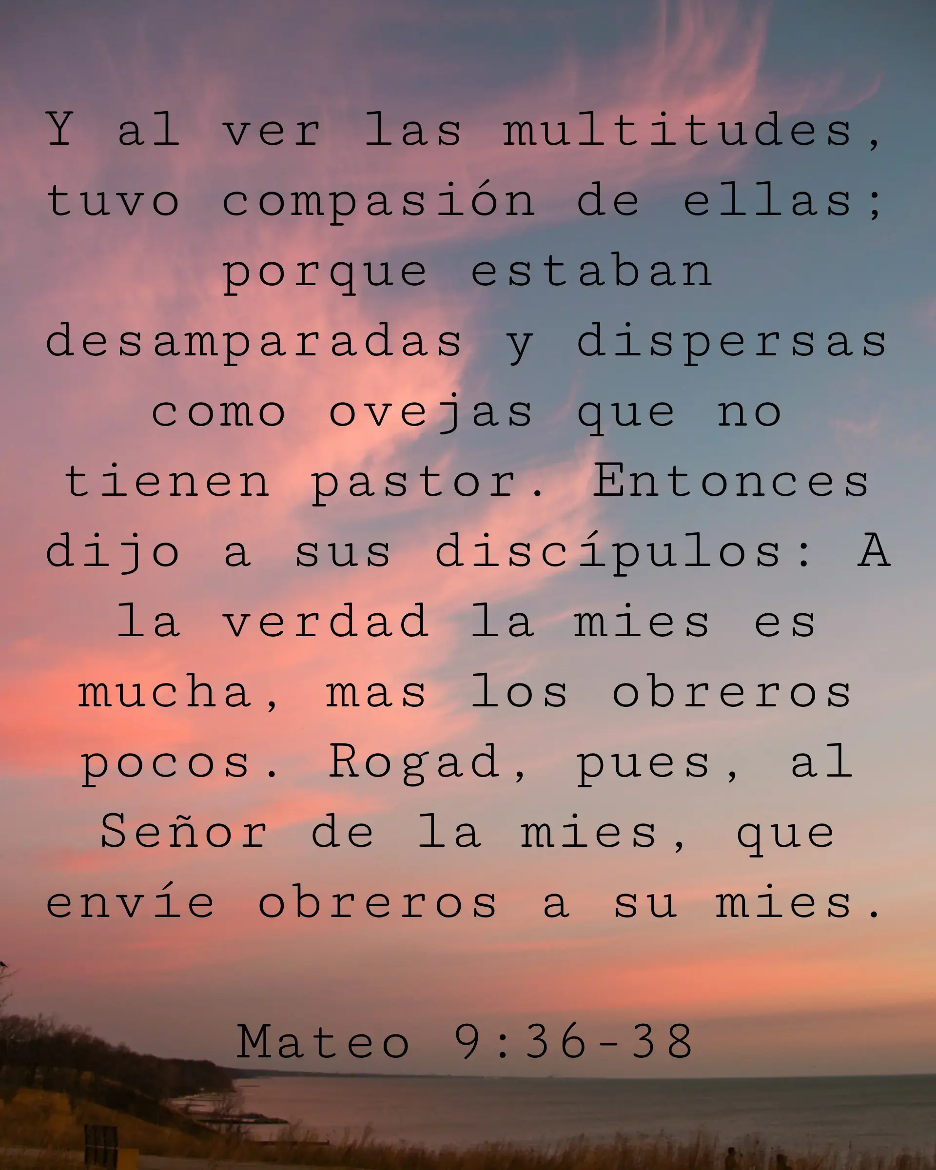 Y al ver las multitudes, tuvo compasión de ellas; porque estaban desamparadas y dispersas como ovejas que no tienen pastor. Entonces dijo a sus discípulos: A la verdad la mies es mucha, mas los obreros pocos. Rogad, pues, al Señor de la mies, que envíe obreros a su mies.