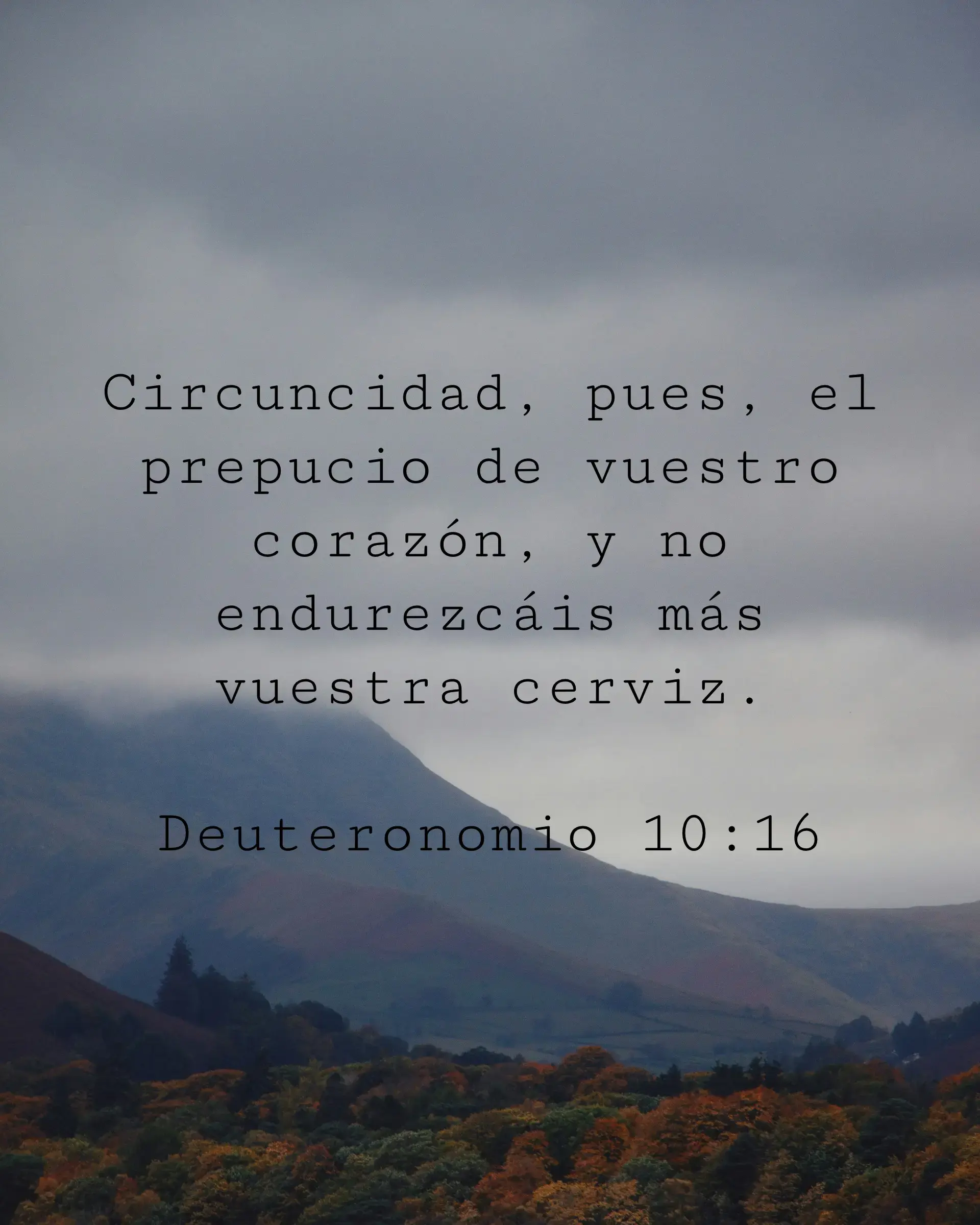 Circuncidad, pues, el prepucio de vuestro corazón, y no endurezcáis más vuestra cerviz.