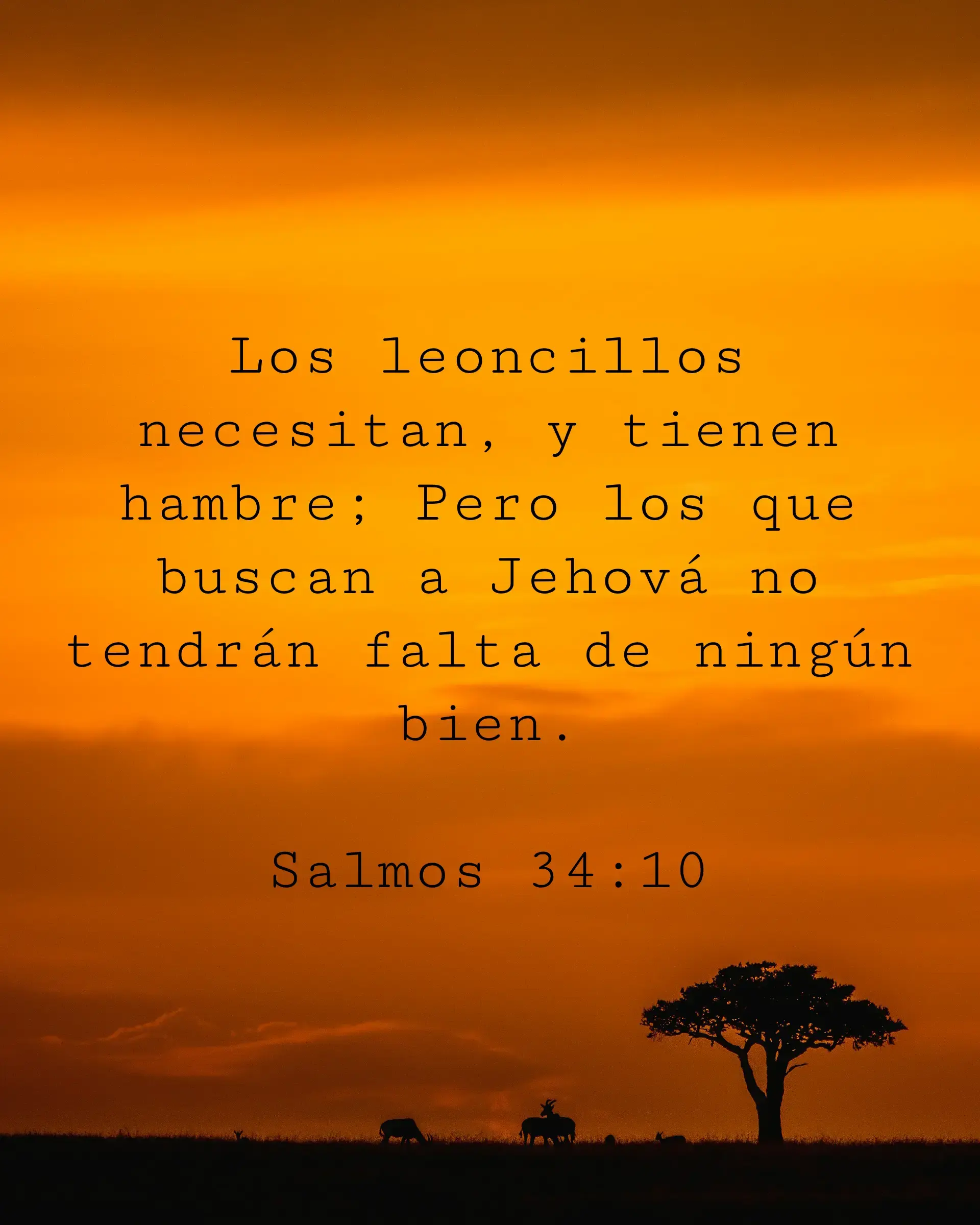 Los leoncillos necesitan, y tienen hambre; Pero los que buscan a Jehová no tendrán falta de ningún bien.