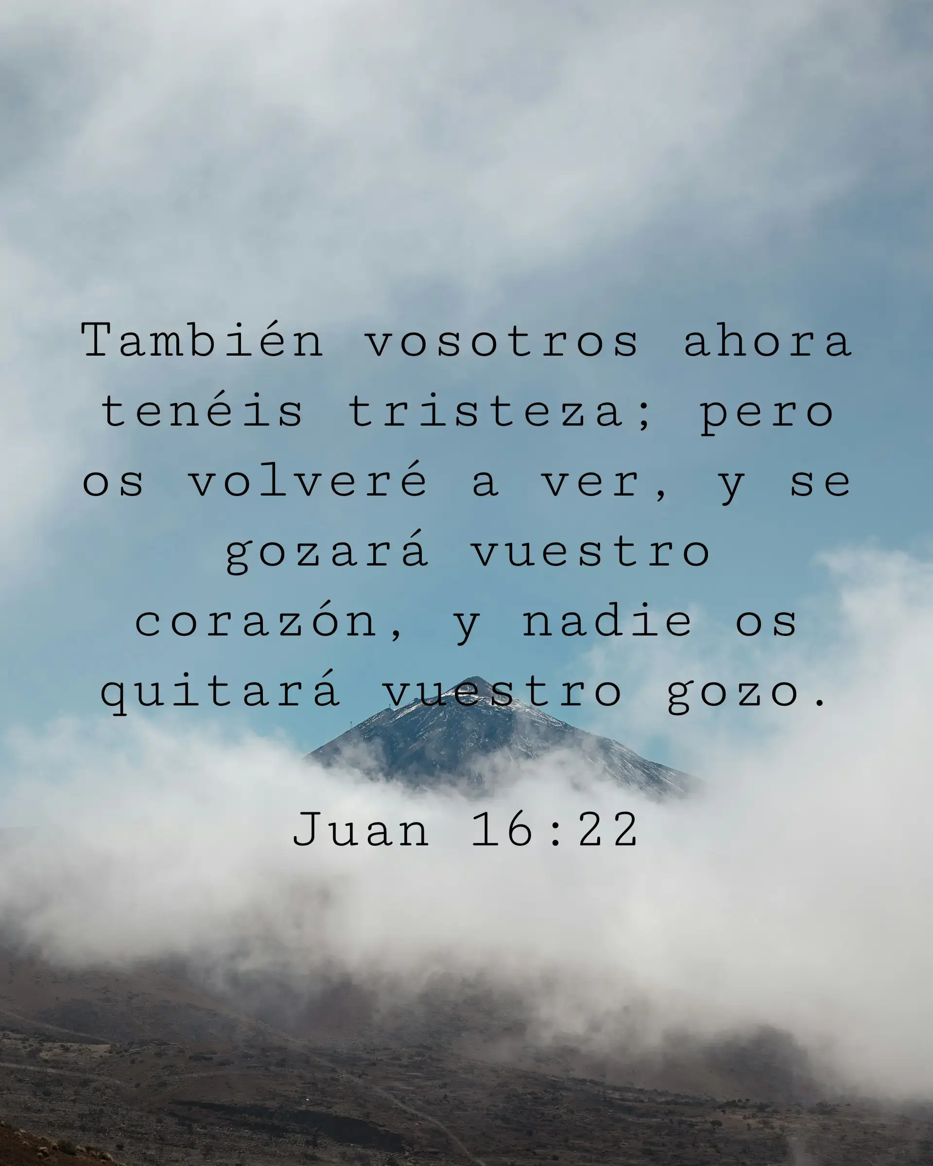 También vosotros ahora tenéis tristeza; pero os volveré a ver, y se gozará vuestro corazón, y nadie os quitará vuestro gozo.