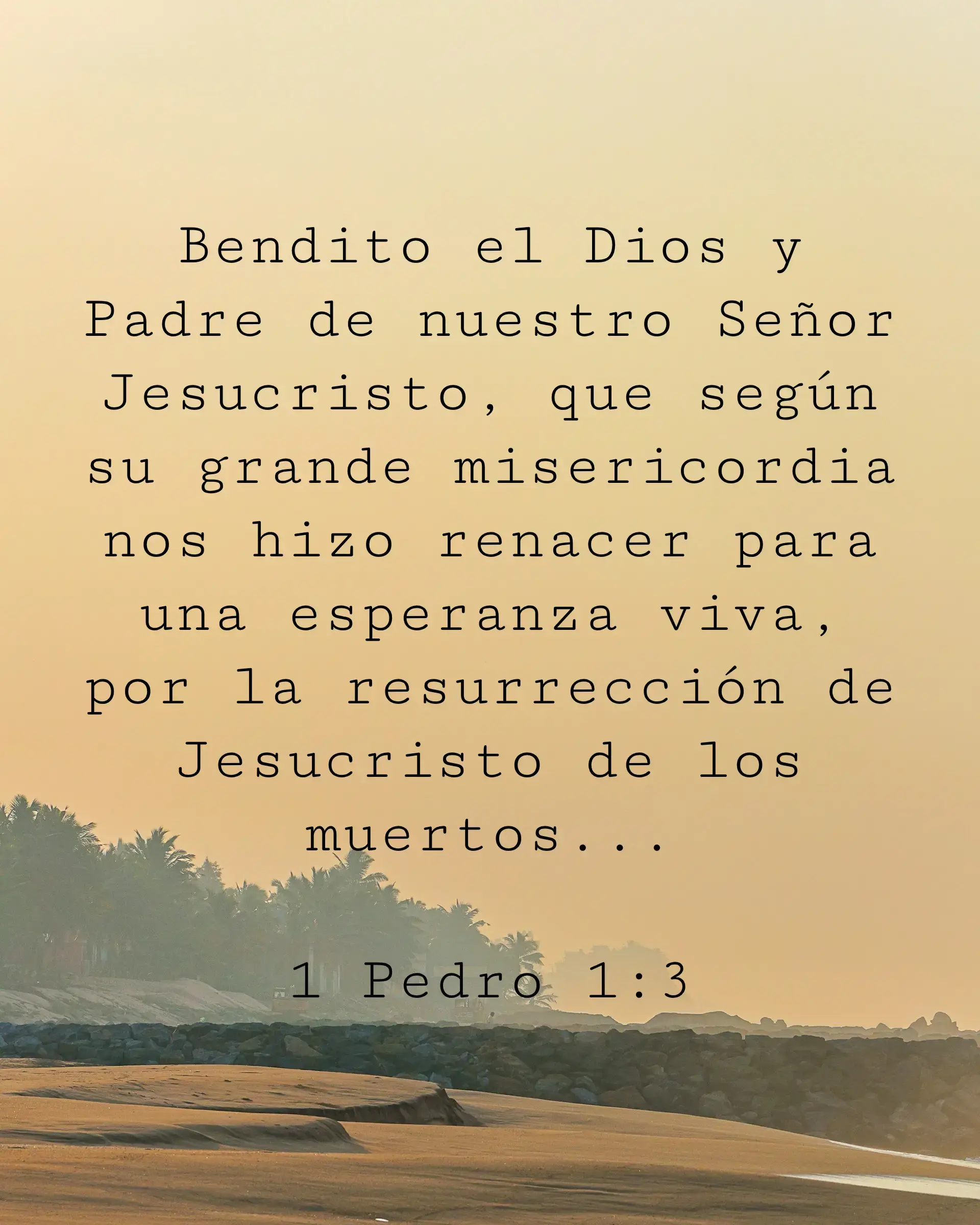 Bendito el Dios y Padre de nuestro Señor Jesucristo, que según su grande misericordia nos hizo renacer para una esperanza viva, por la resurrección de Jesucristo de los muertos...