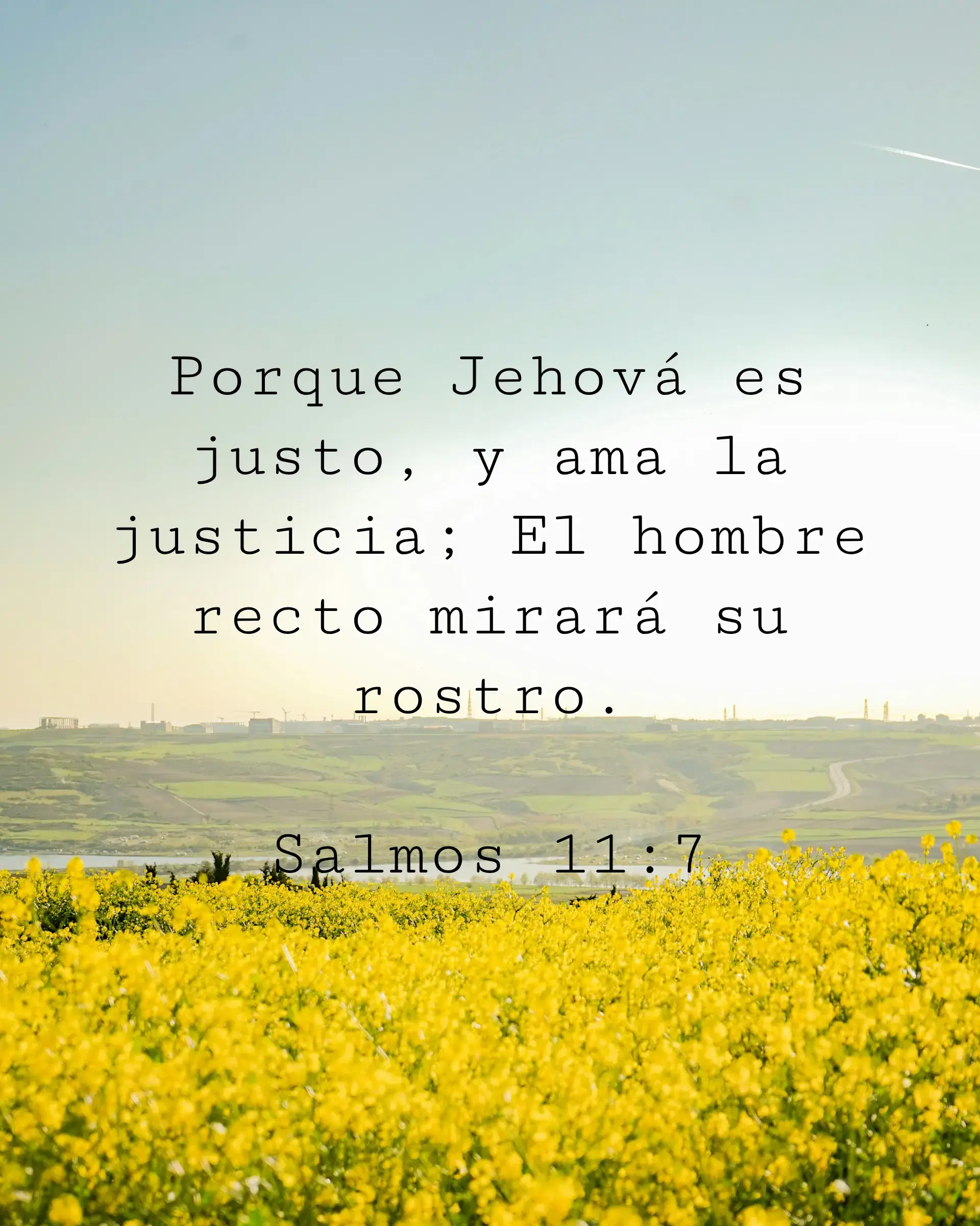 Porque Jehová es justo, y ama la justicia; El hombre recto mirará su rostro.