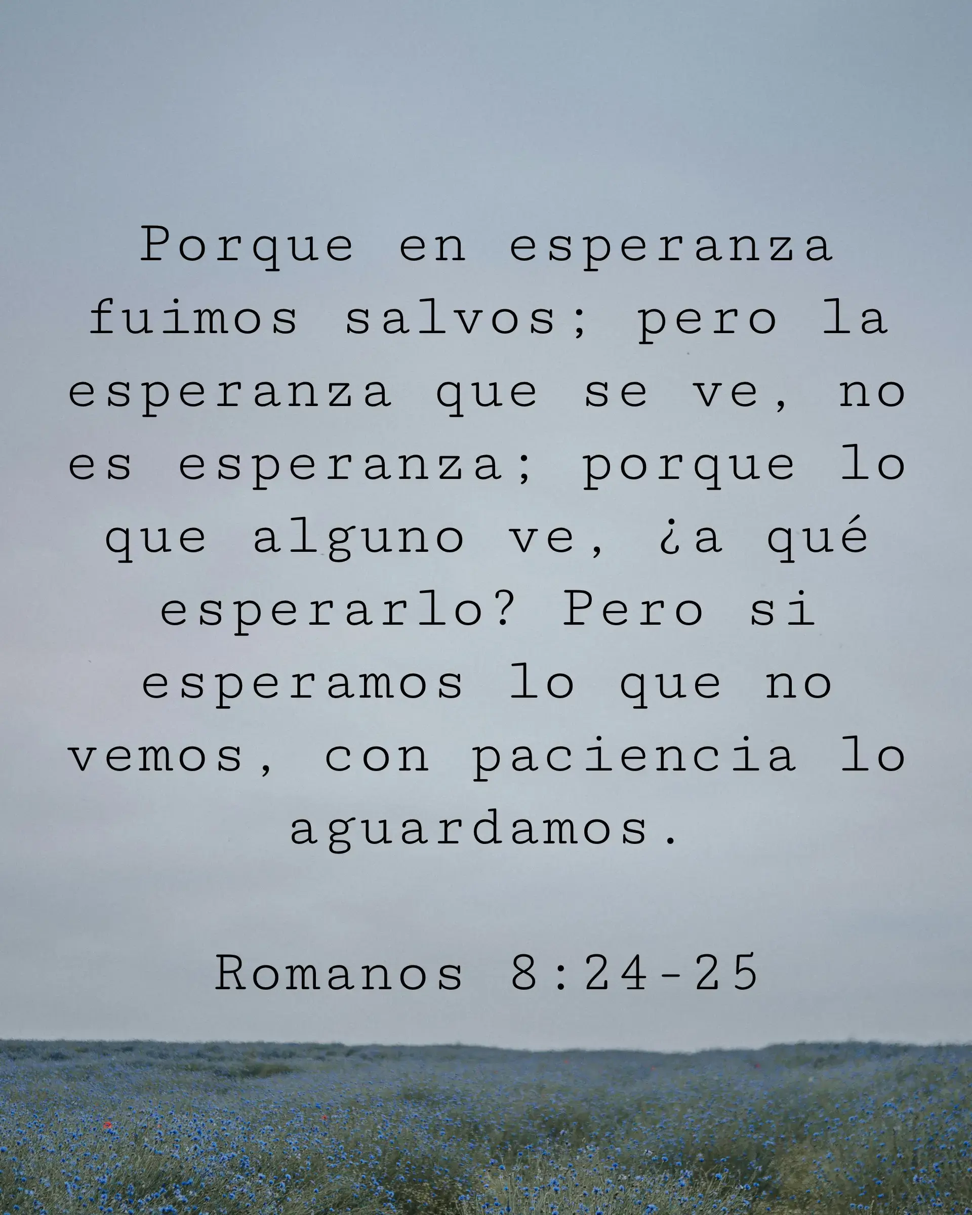 Porque en esperanza fuimos salvos; pero la esperanza que se ve, no es esperanza; porque lo que alguno ve, ¿a qué esperarlo? Pero si esperamos lo que no vemos, con paciencia lo aguardamos.