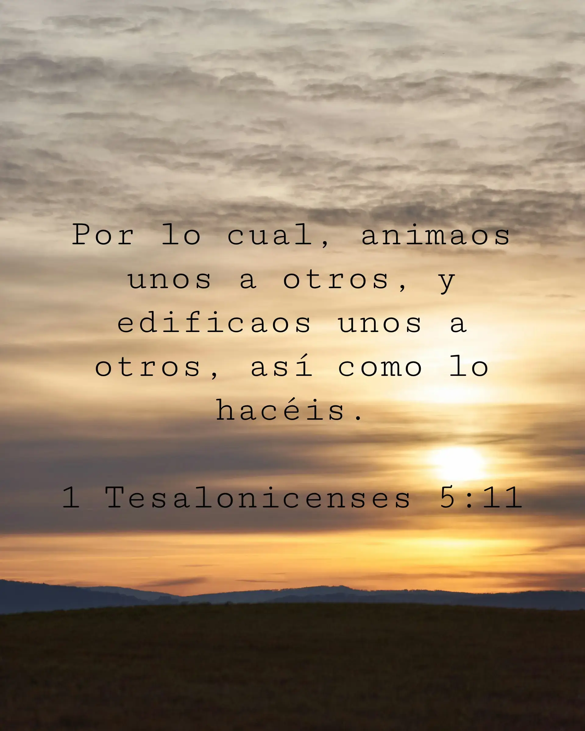 Por lo cual, animaos unos a otros, y edificaos unos a otros, así como lo hacéis.
