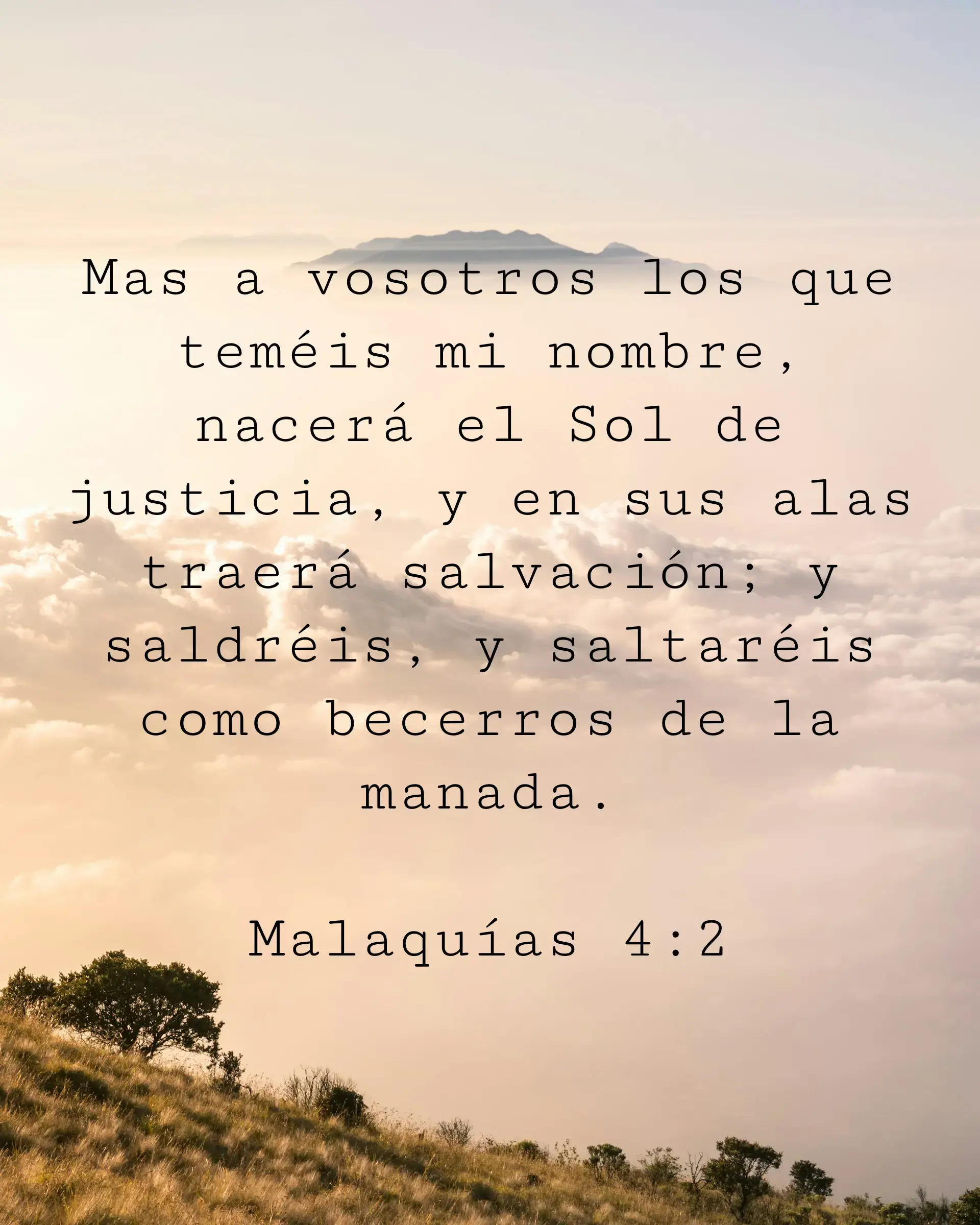 Mas a vosotros los que teméis mi nombre, nacerá el Sol de justicia, y en sus alas traerá salvación; y saldréis, y saltaréis como becerros de la manada.