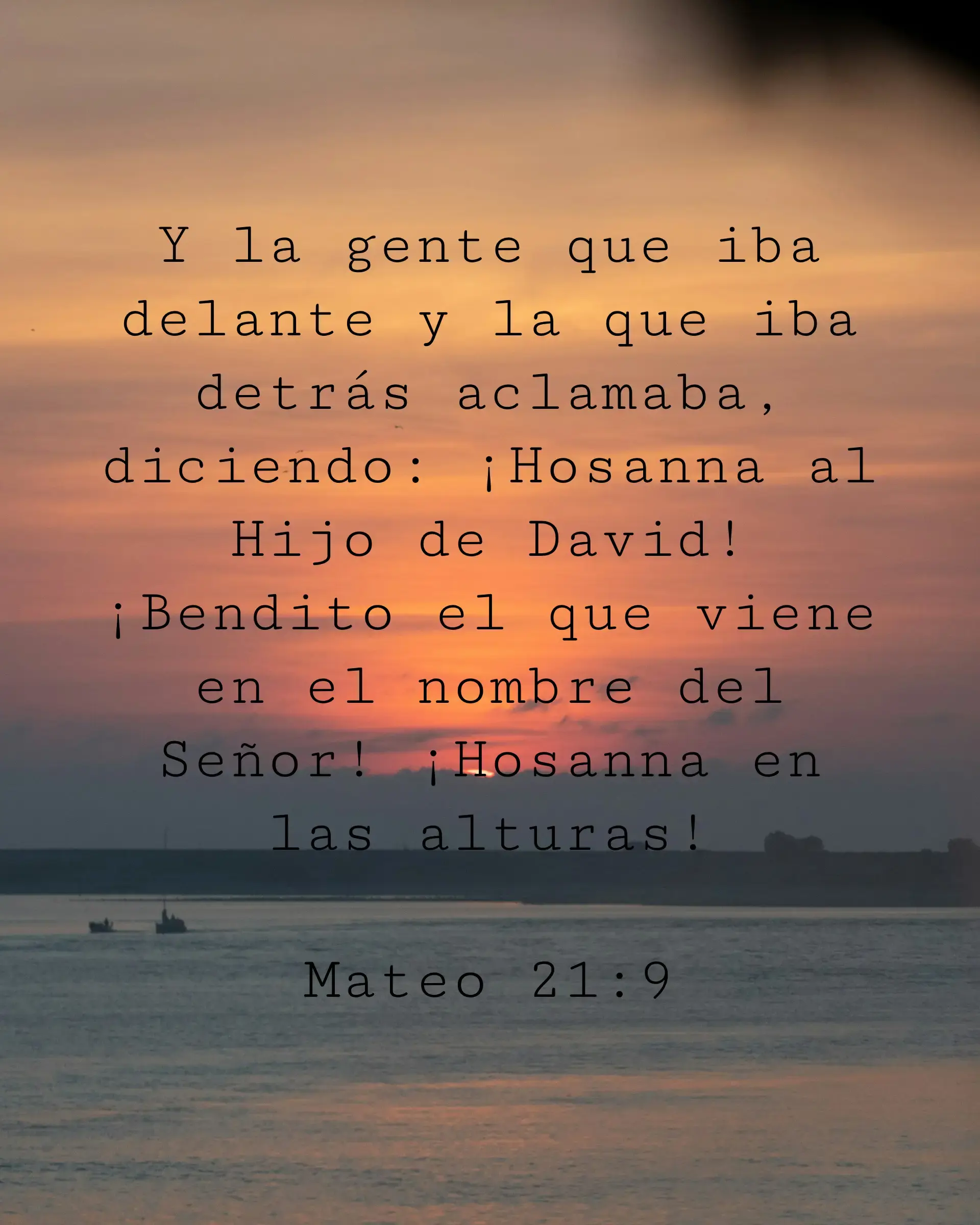 Y la gente que iba delante y la que iba detrás aclamaba, diciendo: ¡Hosanna al Hijo de David! ¡Bendito el que viene en el nombre del Señor! ¡Hosanna en las alturas!