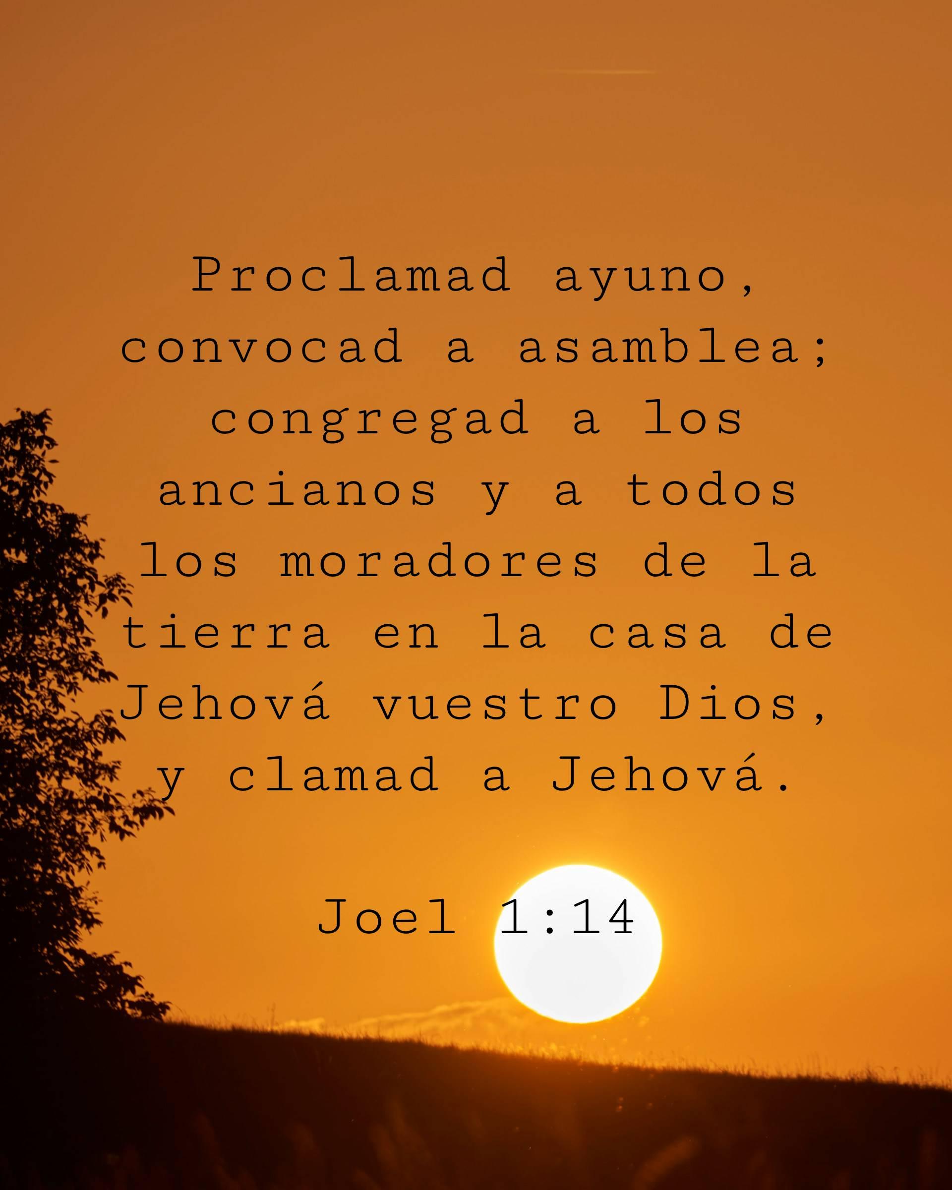 Proclamad ayuno, convocad a asamblea; congregad a los ancianos y a todos los moradores de la tierra en la casa de Jehová vuestro Dios, y clamad a Jehová.