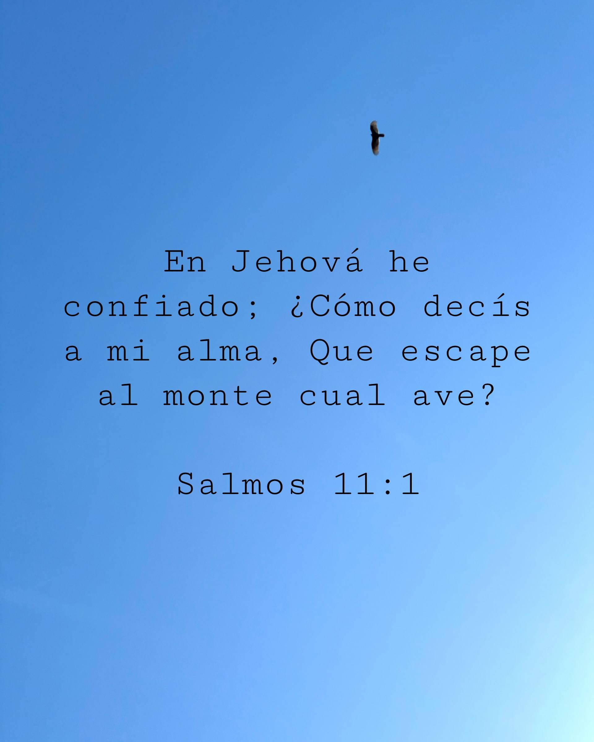 En Jehová he confiado; ¿Cómo decís a mi alma, Que escape al monte cual ave?