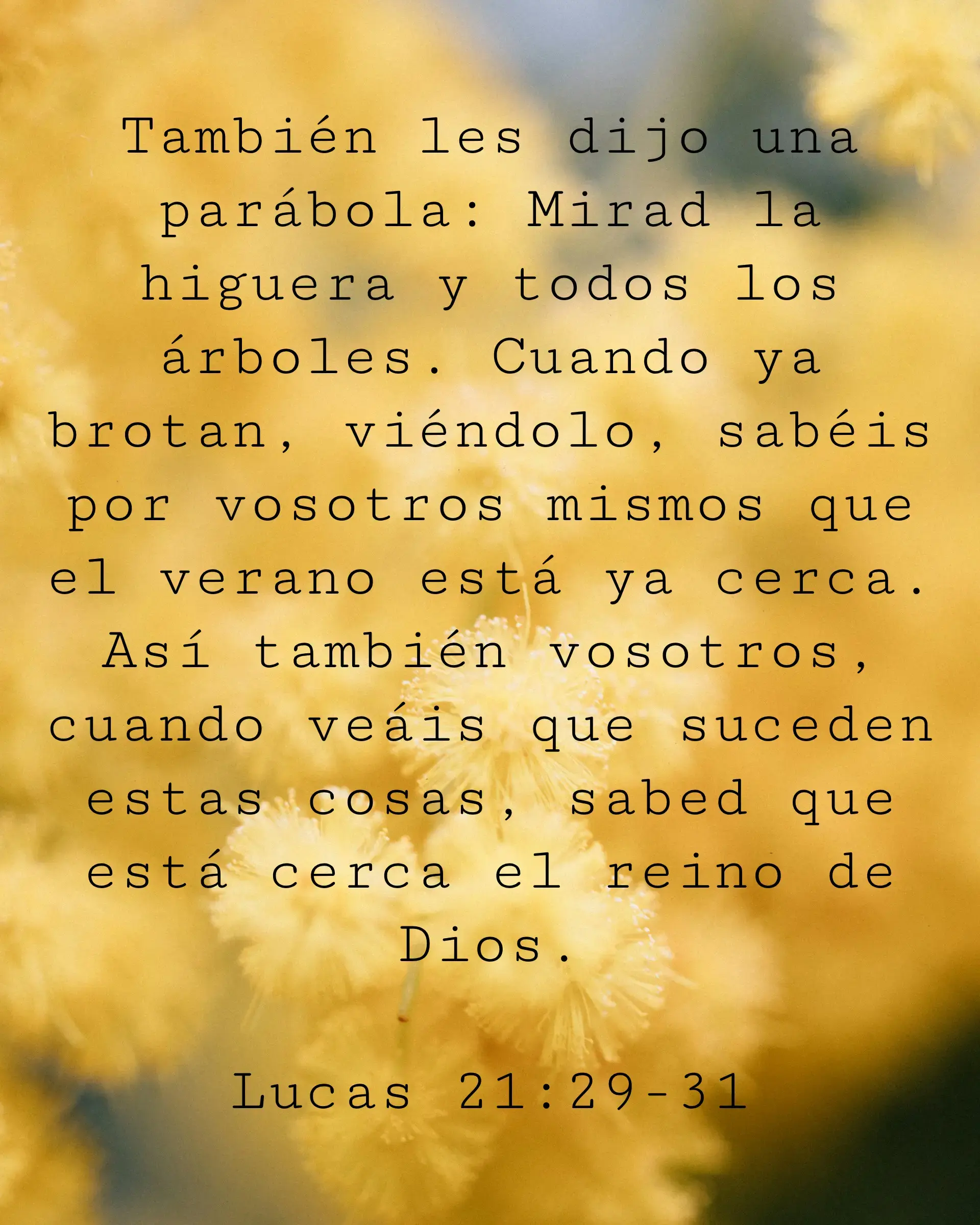 También les dijo una parábola: Mirad la higuera y todos los árboles. Cuando ya brotan, viéndolo, sabéis por vosotros mismos que el verano está ya cerca. Así también vosotros, cuando veáis que suceden estas cosas, sabed que está cerca el reino de Dios.