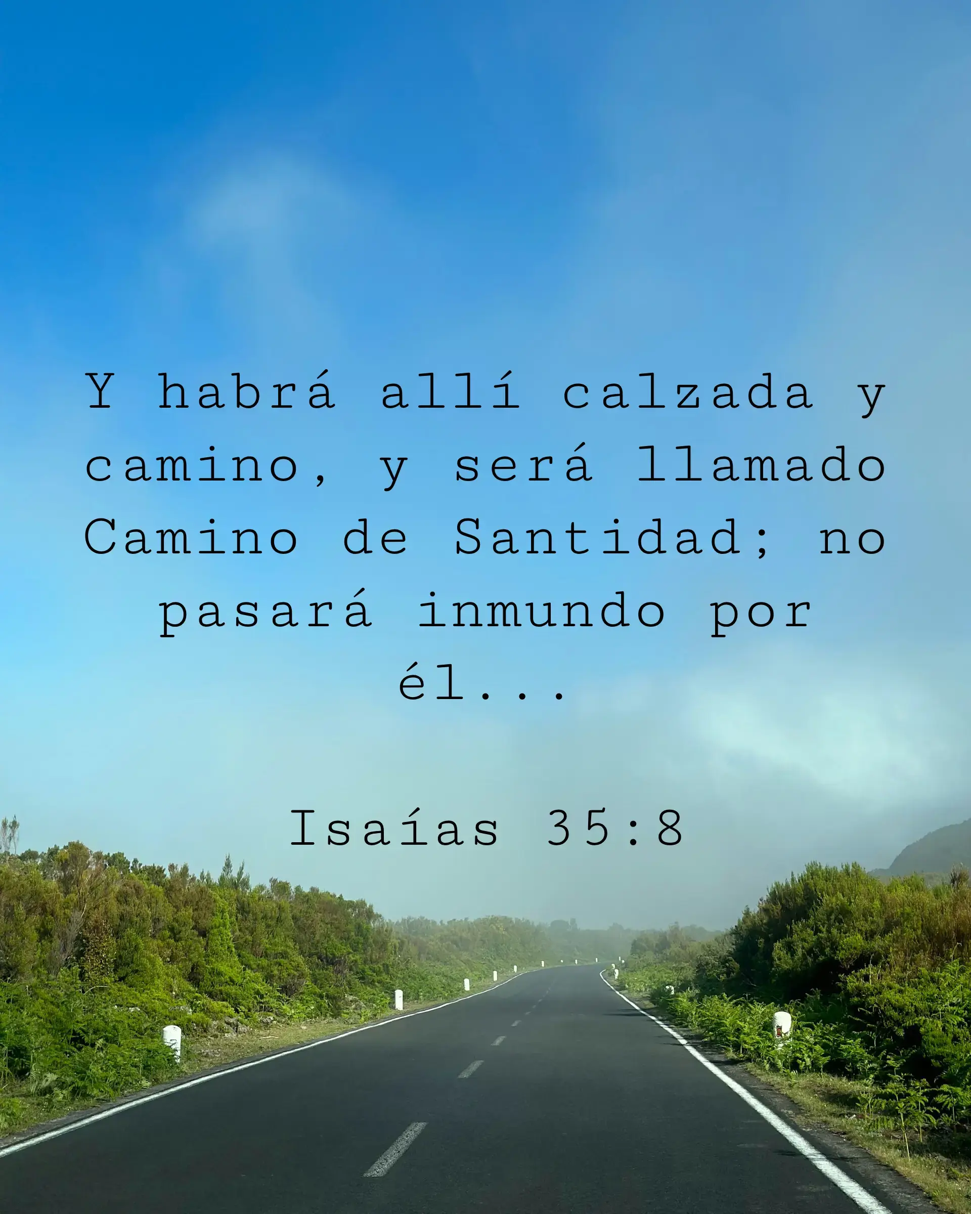 Y habrá allí calzada y camino, y será llamado Camino de Santidad; no pasará inmundo por él...