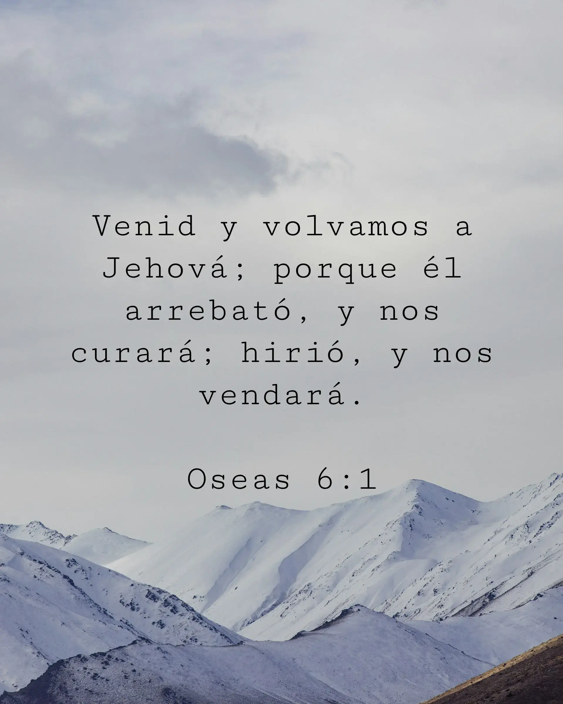 Venid y volvamos a Jehová; porque él arrebató, y nos curará; hirió, y nos vendará.