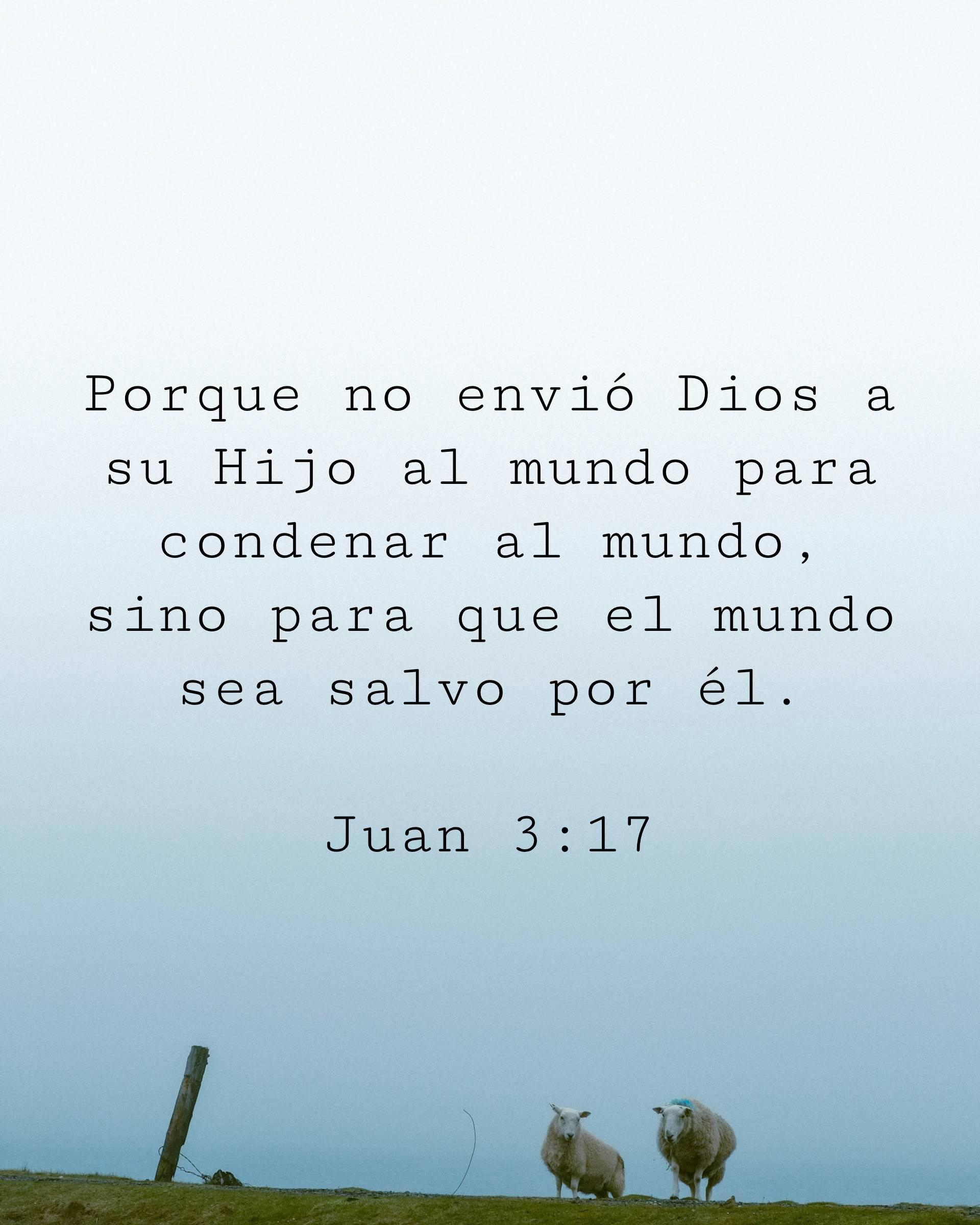 Porque no envió Dios a su Hijo al mundo para condenar al mundo, sino para que el mundo sea salvo por él.