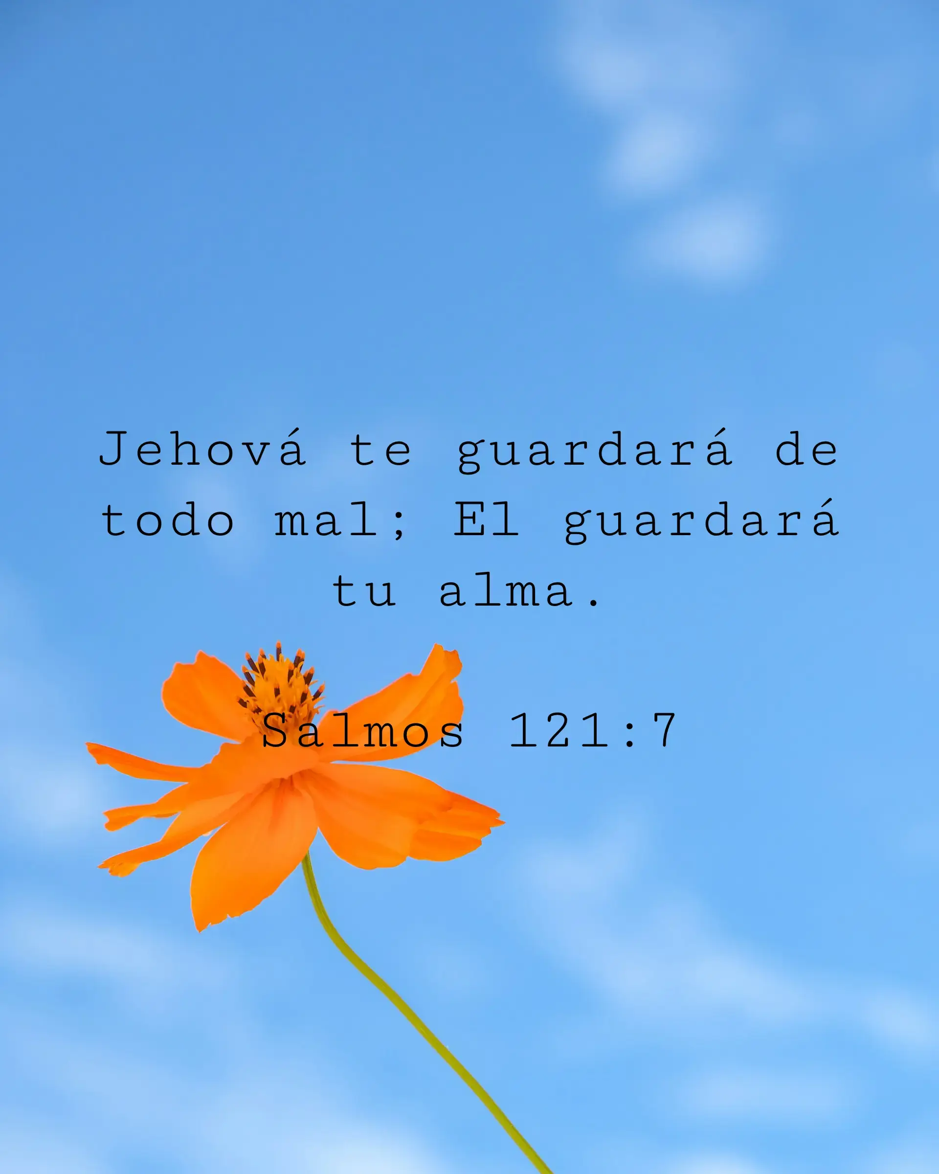 Jehová te guardará de todo mal; El guardará tu alma.