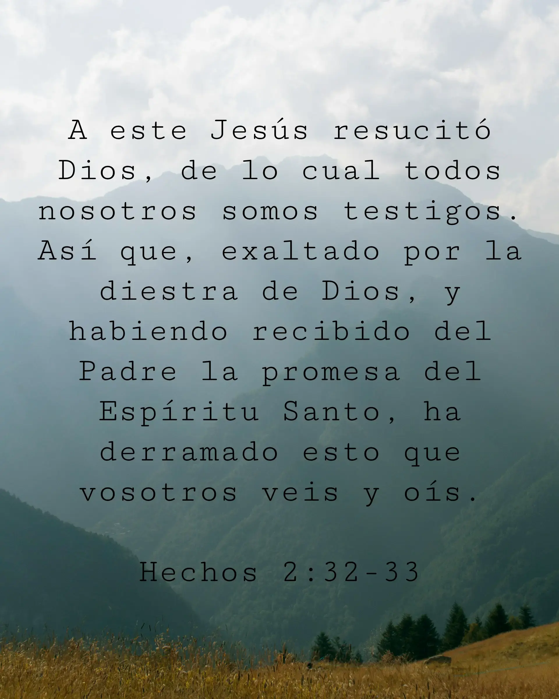 A este Jesús resucitó Dios, de lo cual todos nosotros somos testigos. Así que, exaltado por la diestra de Dios, y habiendo recibido del Padre la promesa del Espíritu Santo, ha derramado esto que vosotros veis y oís.