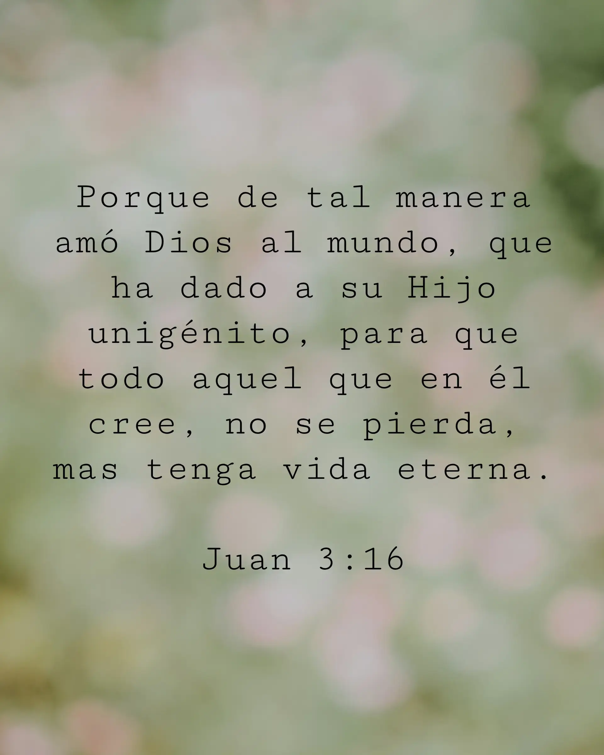 Porque de tal manera amó Dios al mundo, que ha dado a su Hijo unigénito, para que todo aquel que en él cree, no se pierda, mas tenga vida eterna.