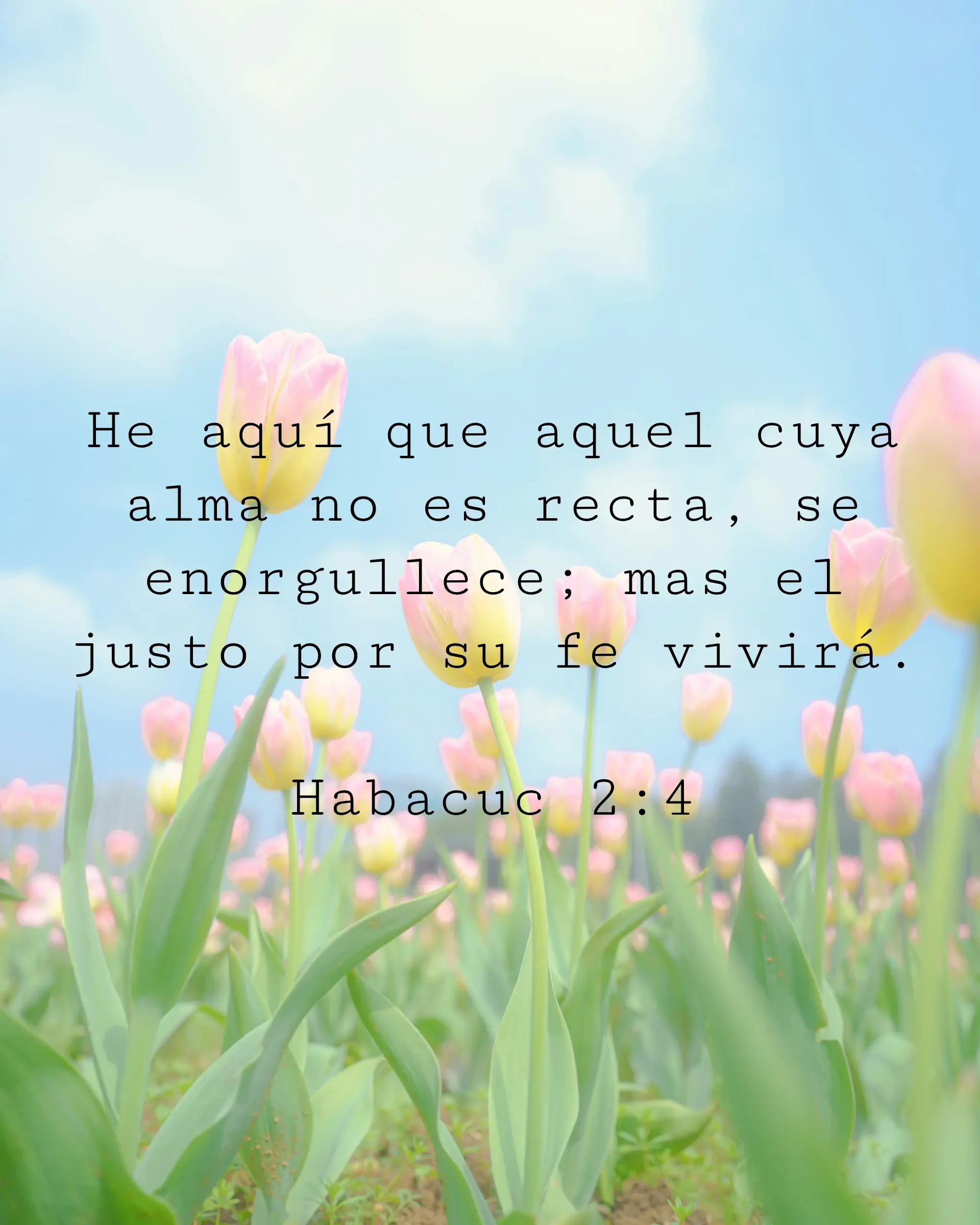 He aquí que aquel cuya alma no es recta, se enorgullece; mas el justo por su fe vivirá.
