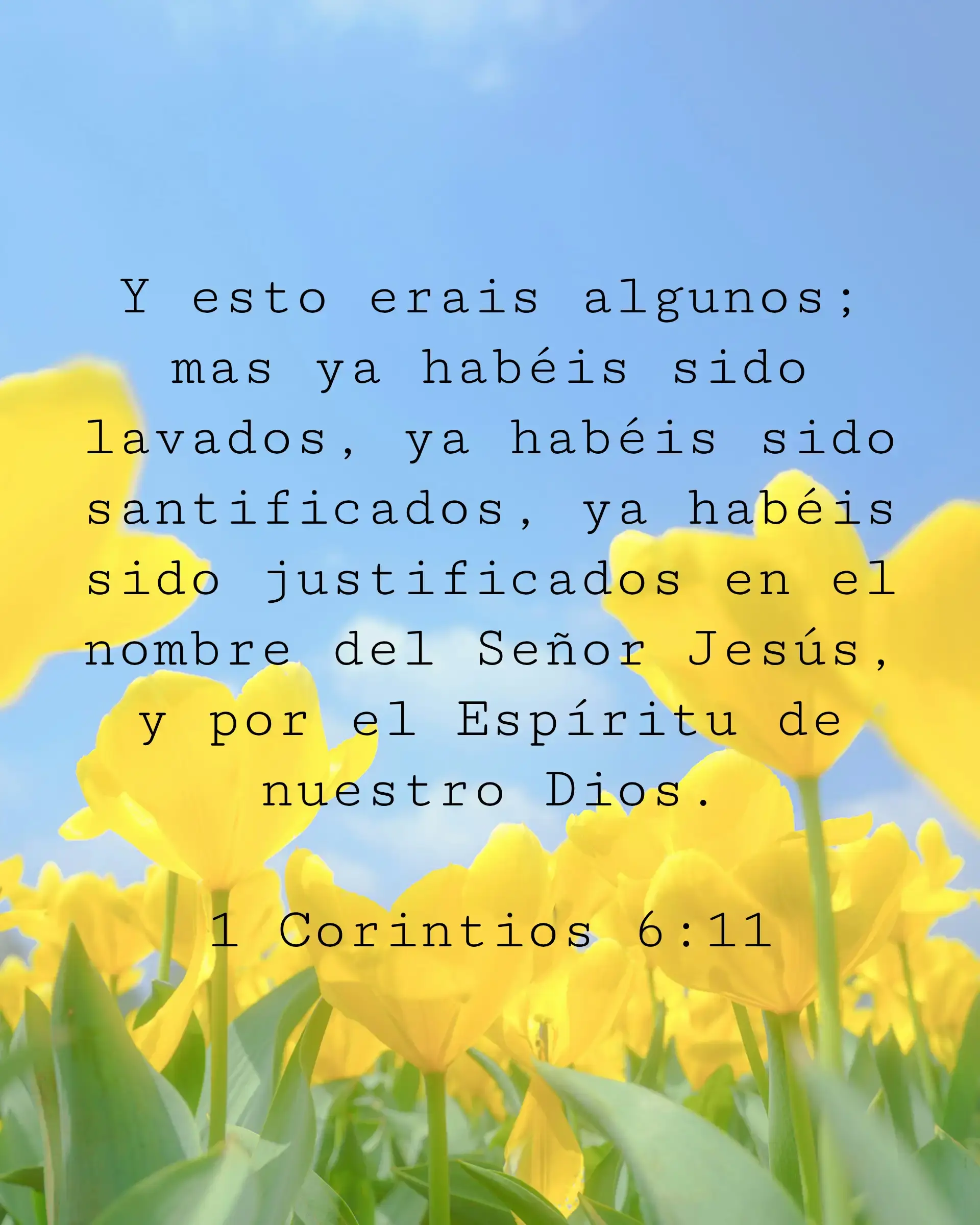 Y esto erais algunos; mas ya habéis sido lavados, ya habéis sido santificados, ya habéis sido justificados en el nombre del Señor Jesús, y por el Espíritu de nuestro Dios.