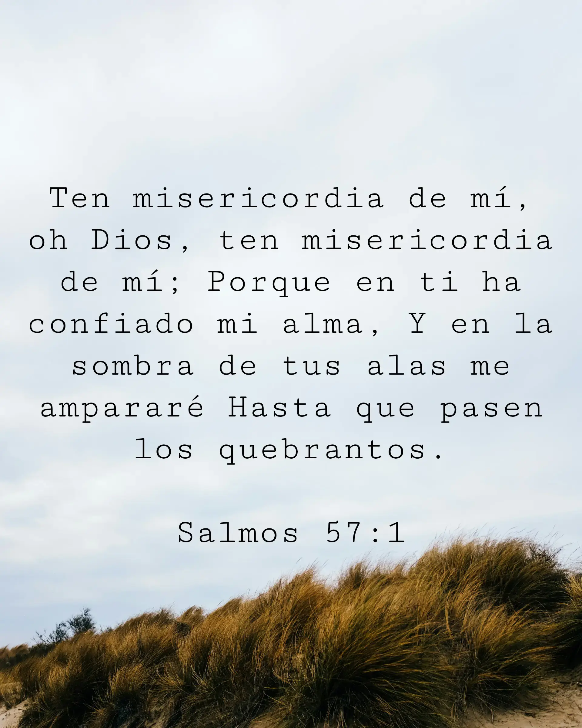 Ten misericordia de mí, oh Dios, ten misericordia de mí; Porque en ti ha confiado mi alma, Y en la sombra de tus alas me ampararé Hasta que pasen los quebrantos.