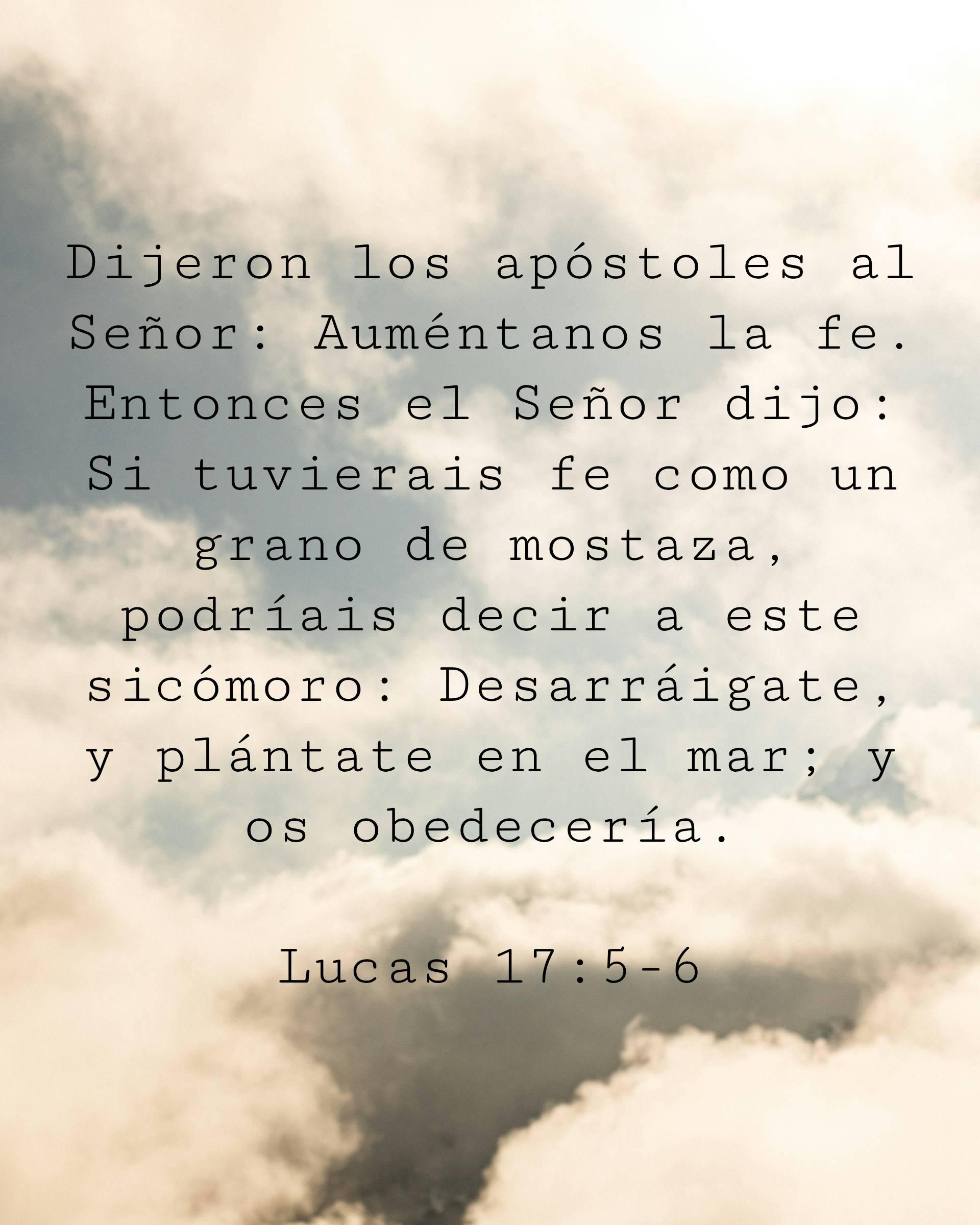 Dijeron los apóstoles al Señor: Auméntanos la fe. Entonces el Señor dijo: Si tuvierais fe como un grano de mostaza, podríais decir a este sicómoro: Desarráigate, y plántate en el mar; y os obedecería.