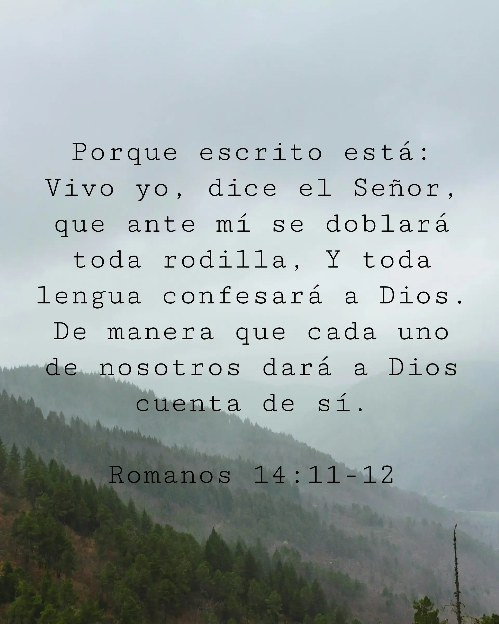 Porque escrito está: Vivo yo, dice el Señor, que ante mí se doblará toda rodilla, Y toda lengua confesará a Dios. De manera que cada uno de nosotros dará a Dios cuenta de sí.