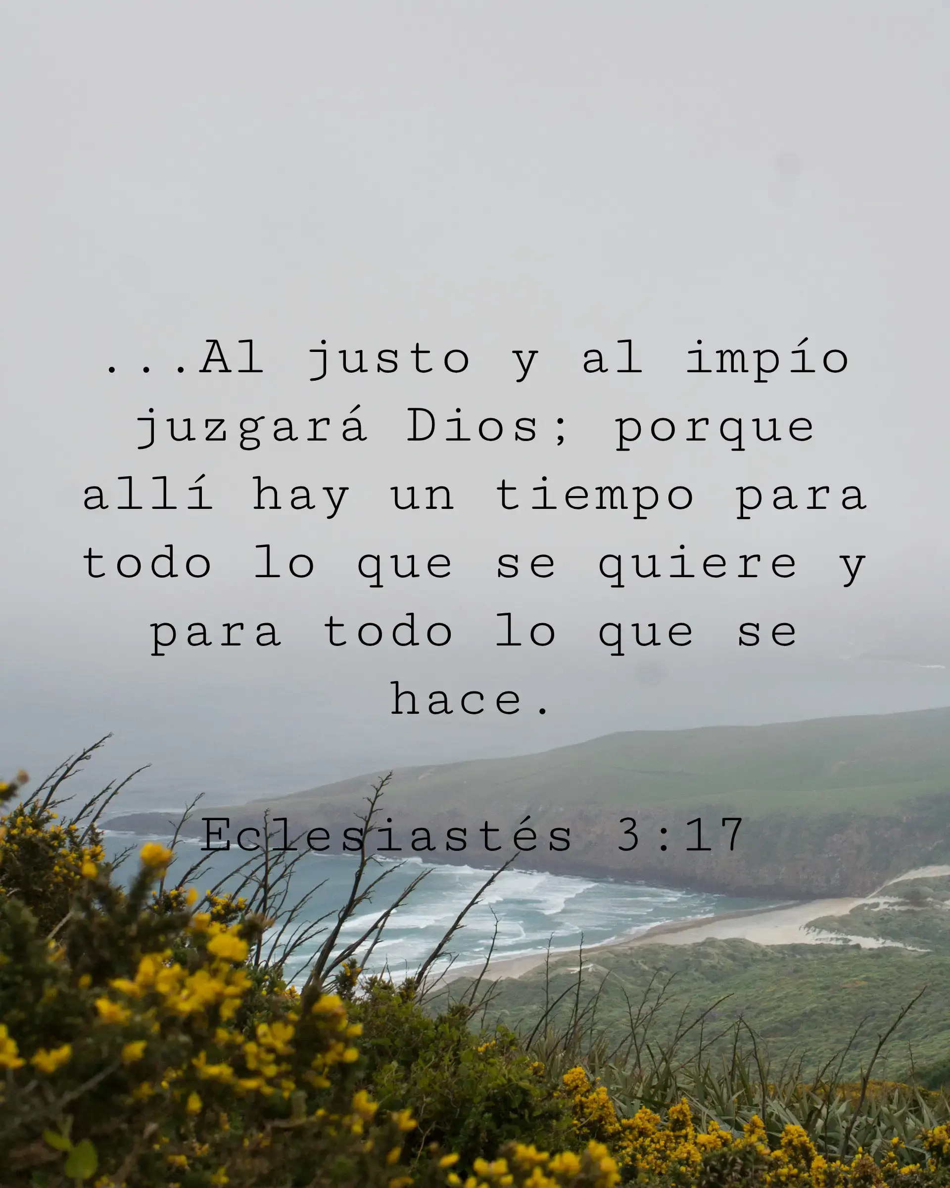 ...Al justo y al impío juzgará Dios; porque allí hay un tiempo para todo lo que se quiere y para todo lo que se hace.