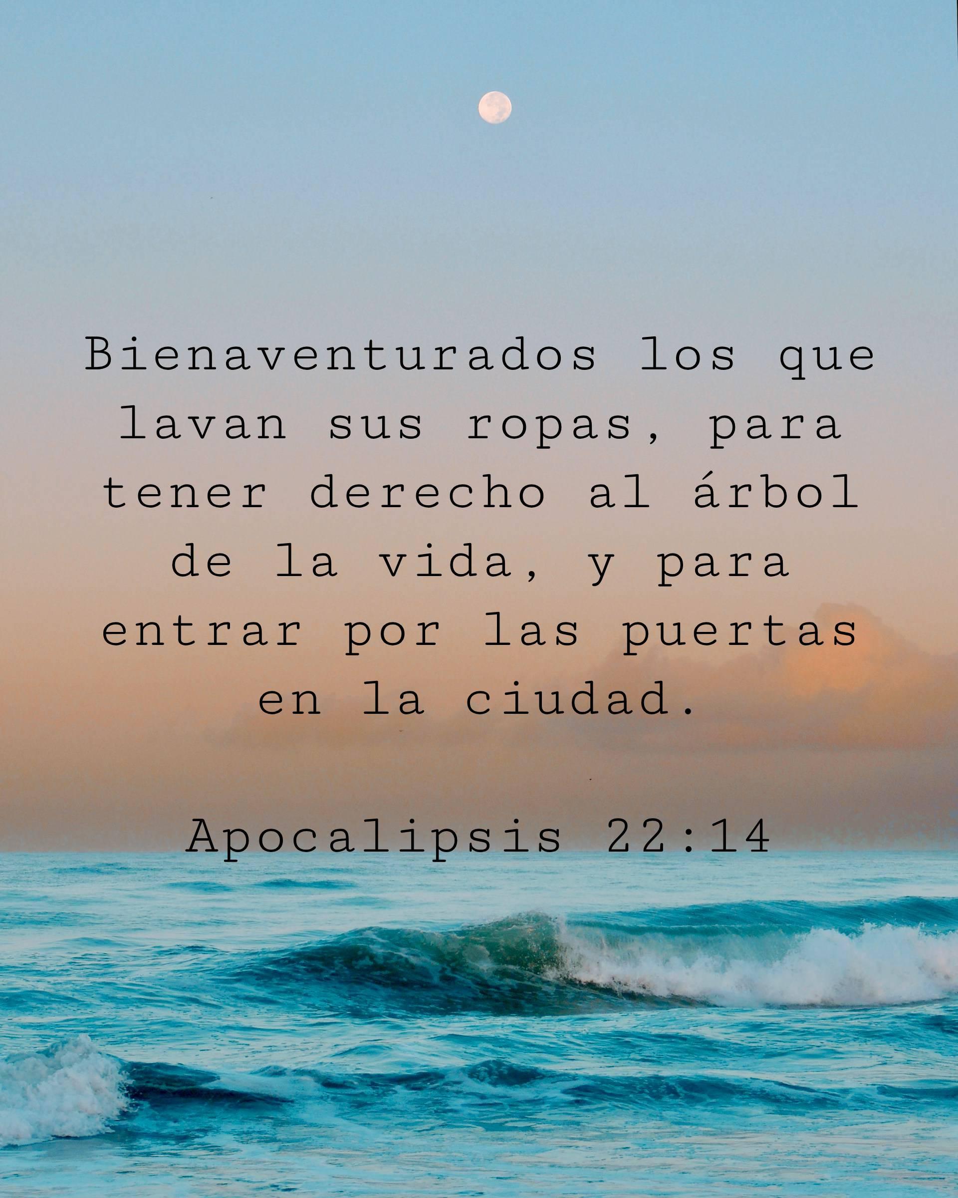 Bienaventurados los que lavan sus ropas, para tener derecho al árbol de la vida, y para entrar por las puertas en la ciudad.
